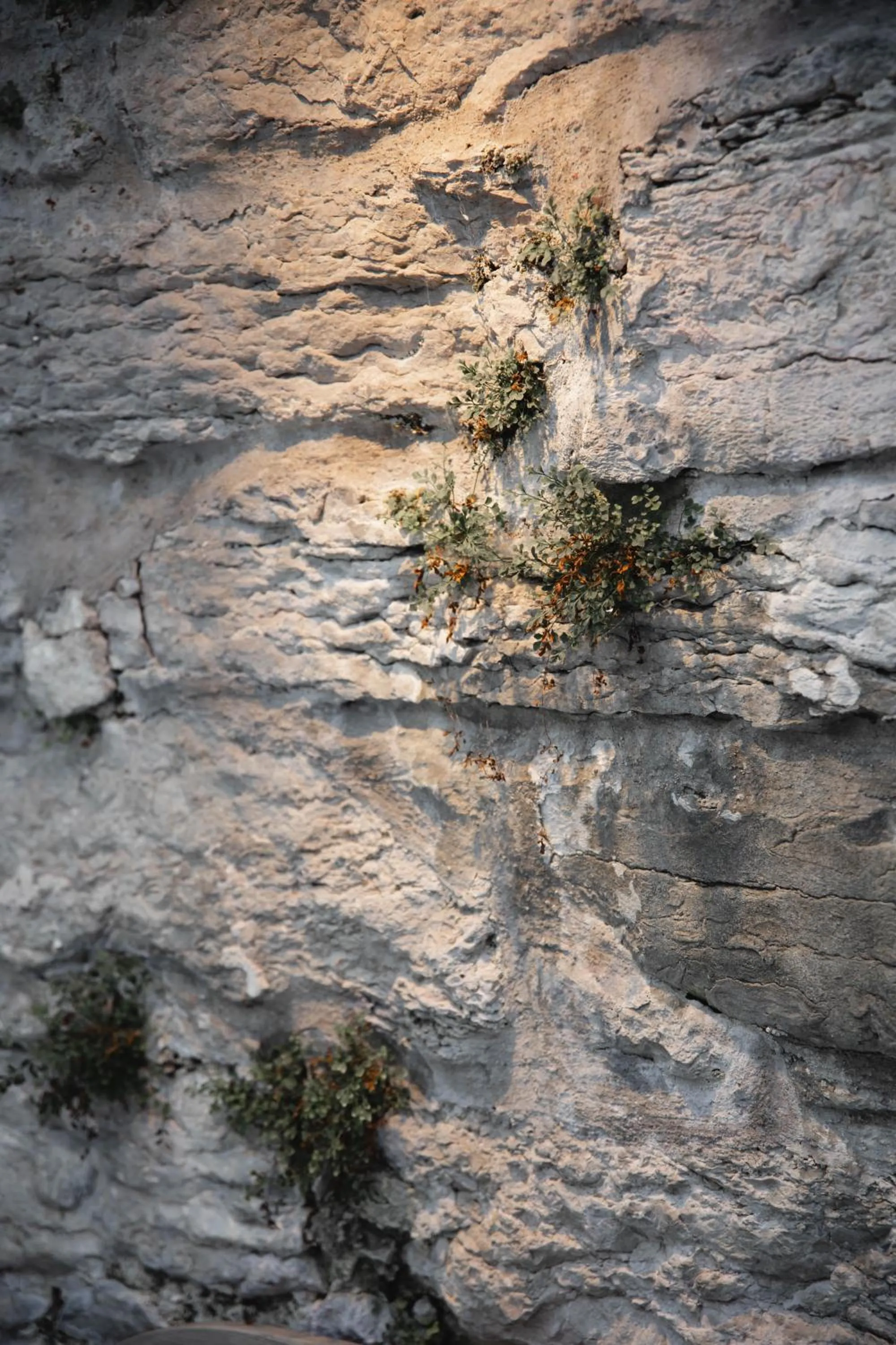 Villa Gutebagge Hotell