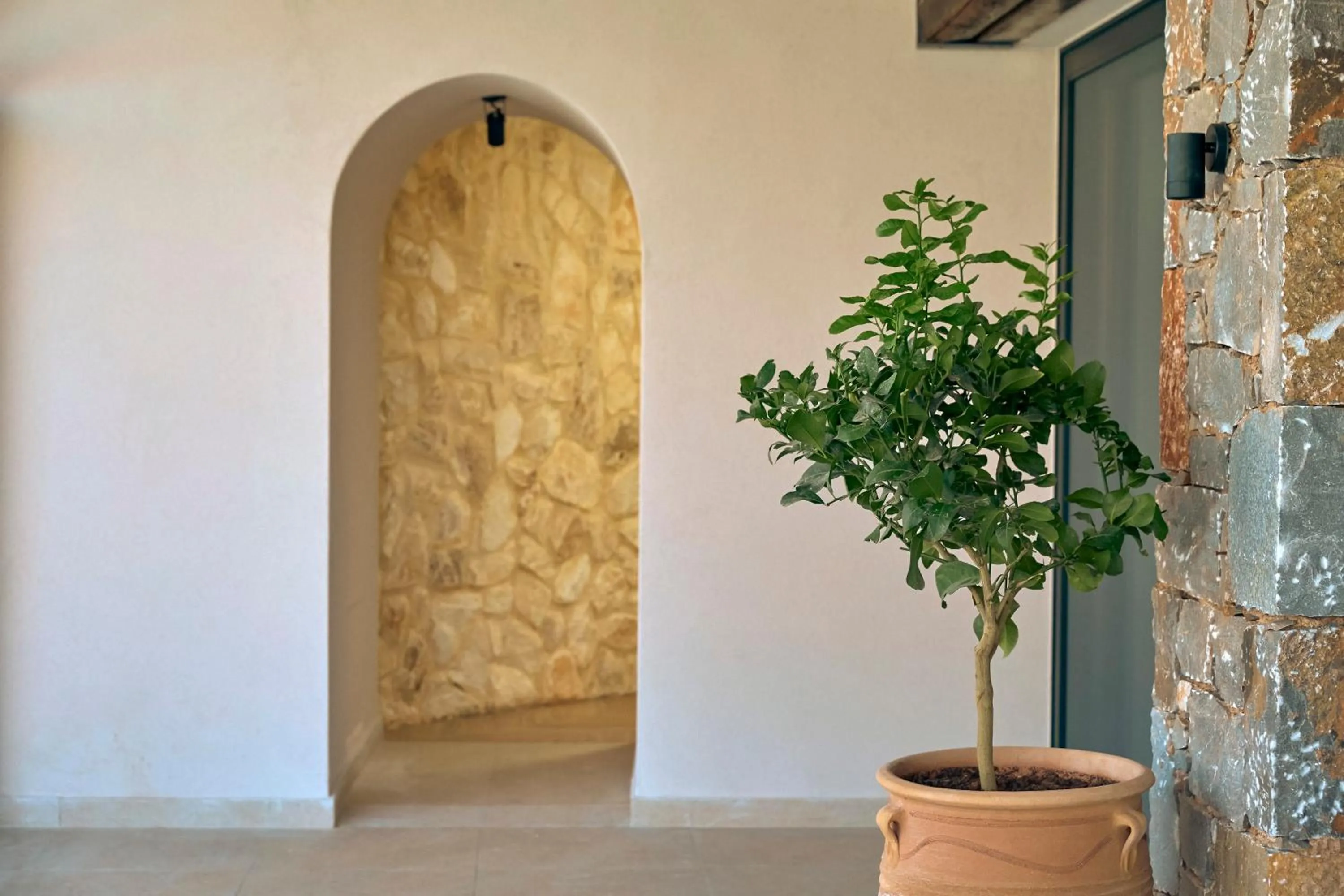 Zeus Eleva Mirabello Bay