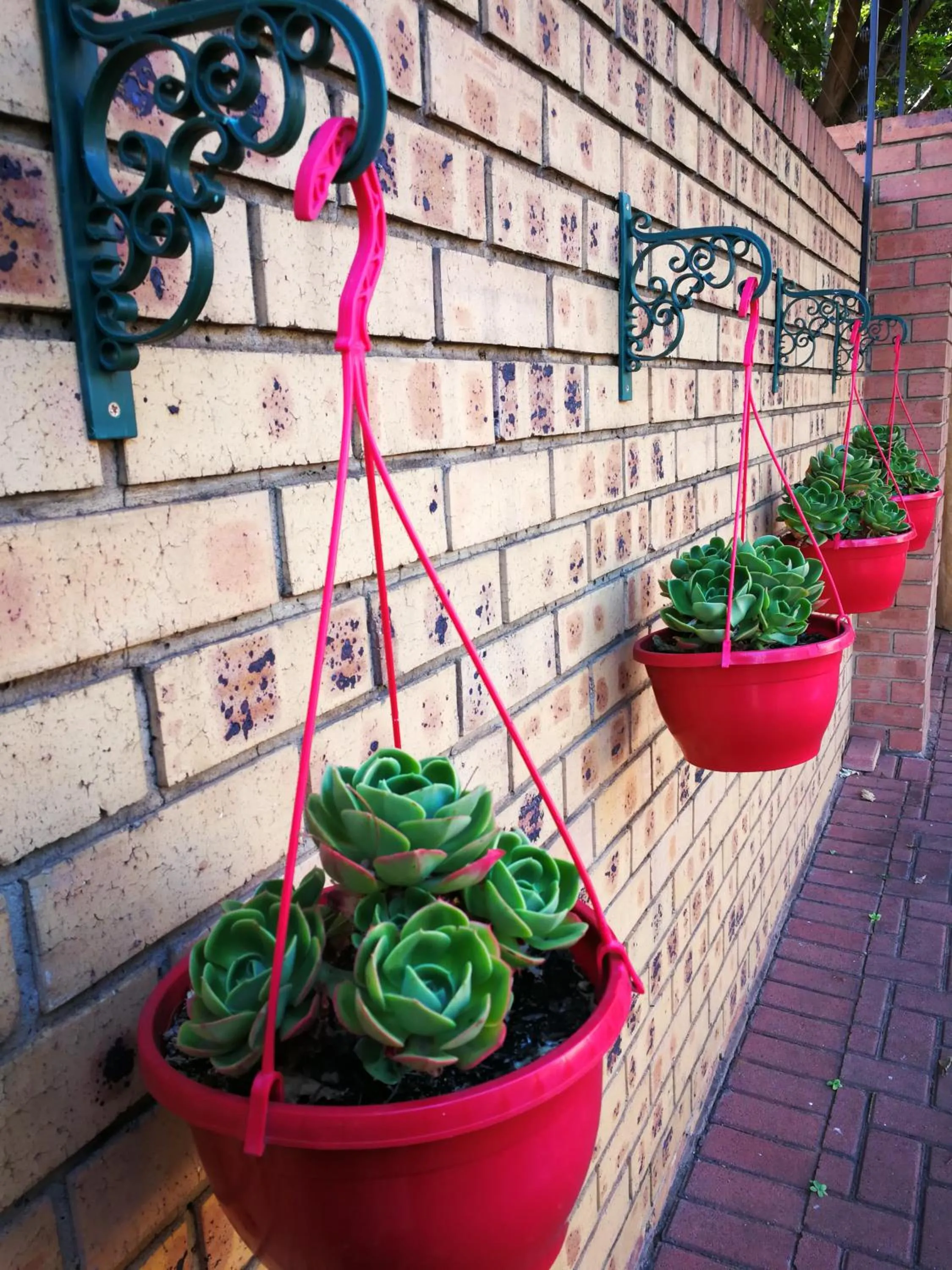 Ridderspoor Guesthouse