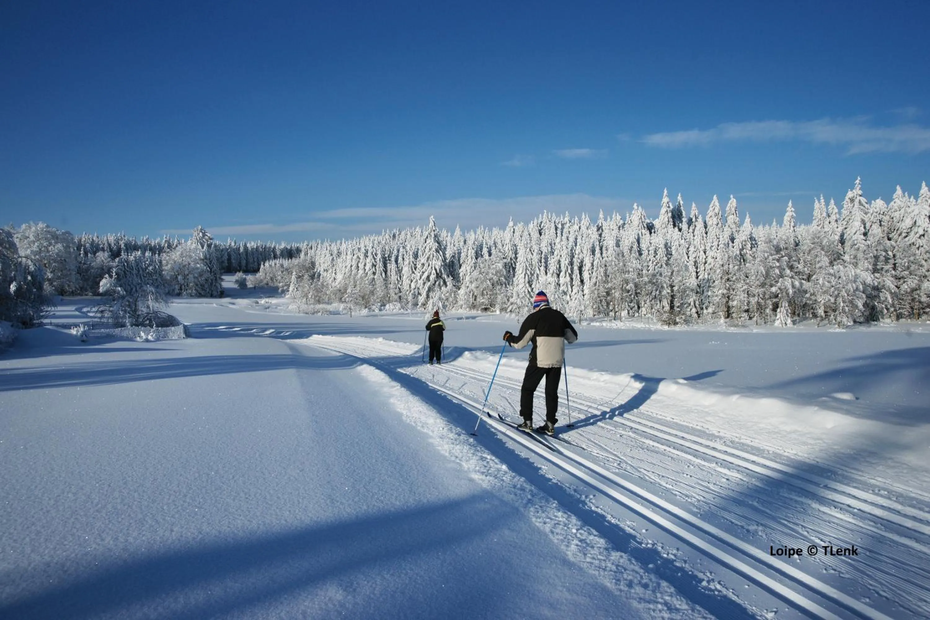 Winter in Hotel Tannenhaus
