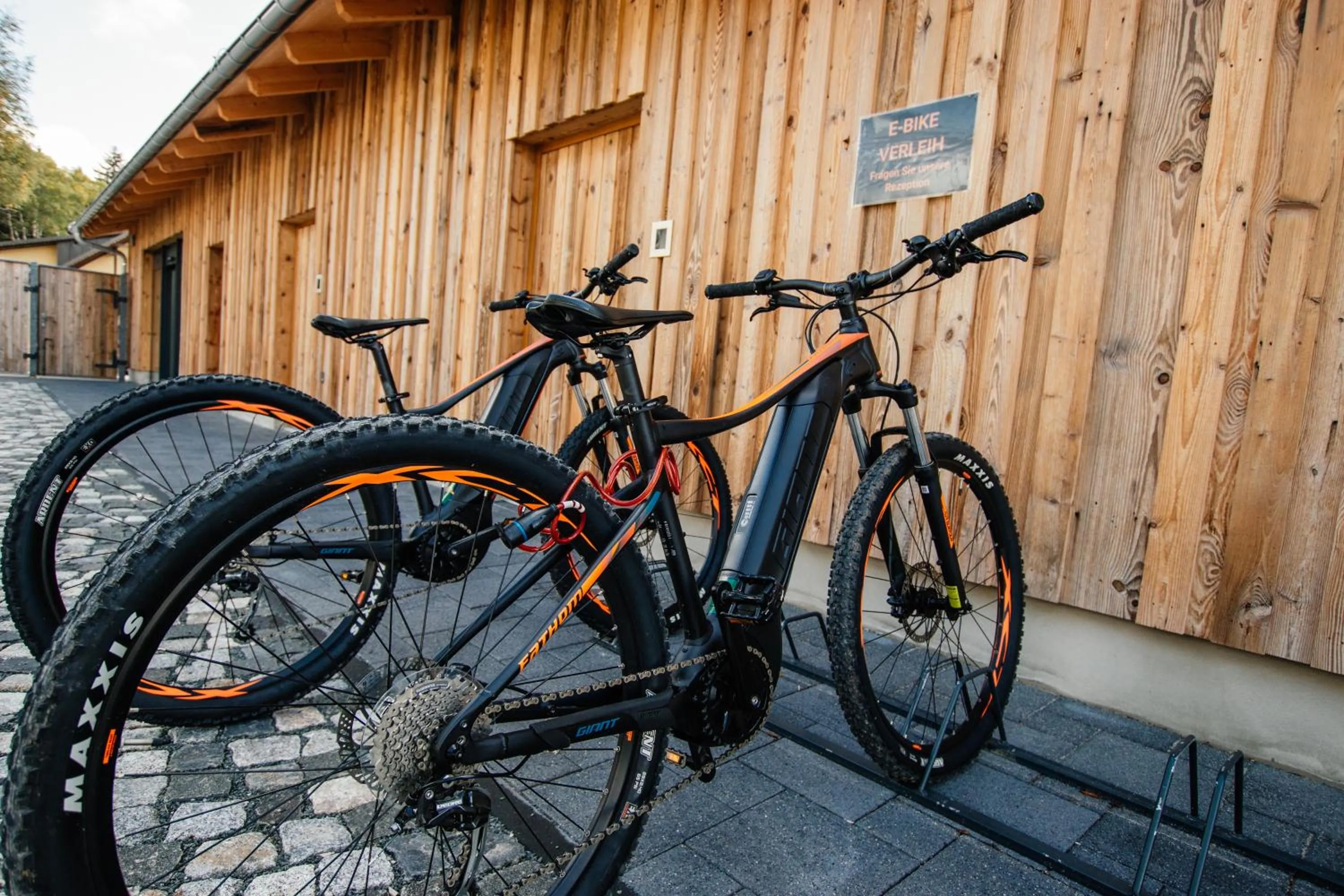 Activities in Hotel Tannenhaus