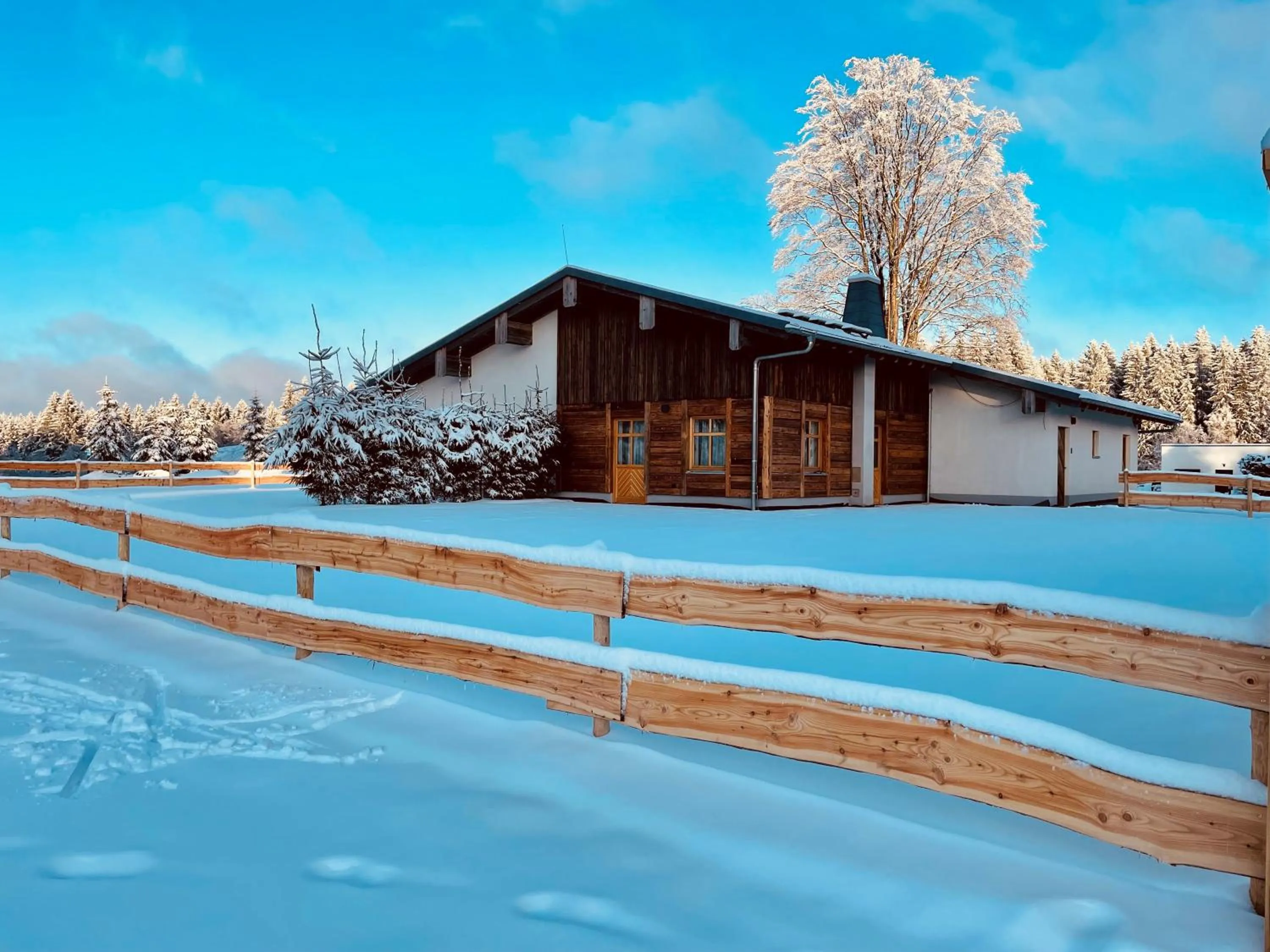 Property building in Hotel Tannenhaus