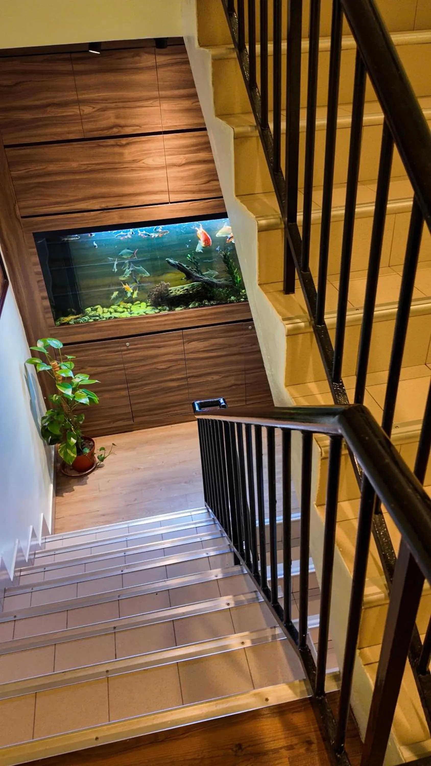 Floor plan in Highlanders Hotel