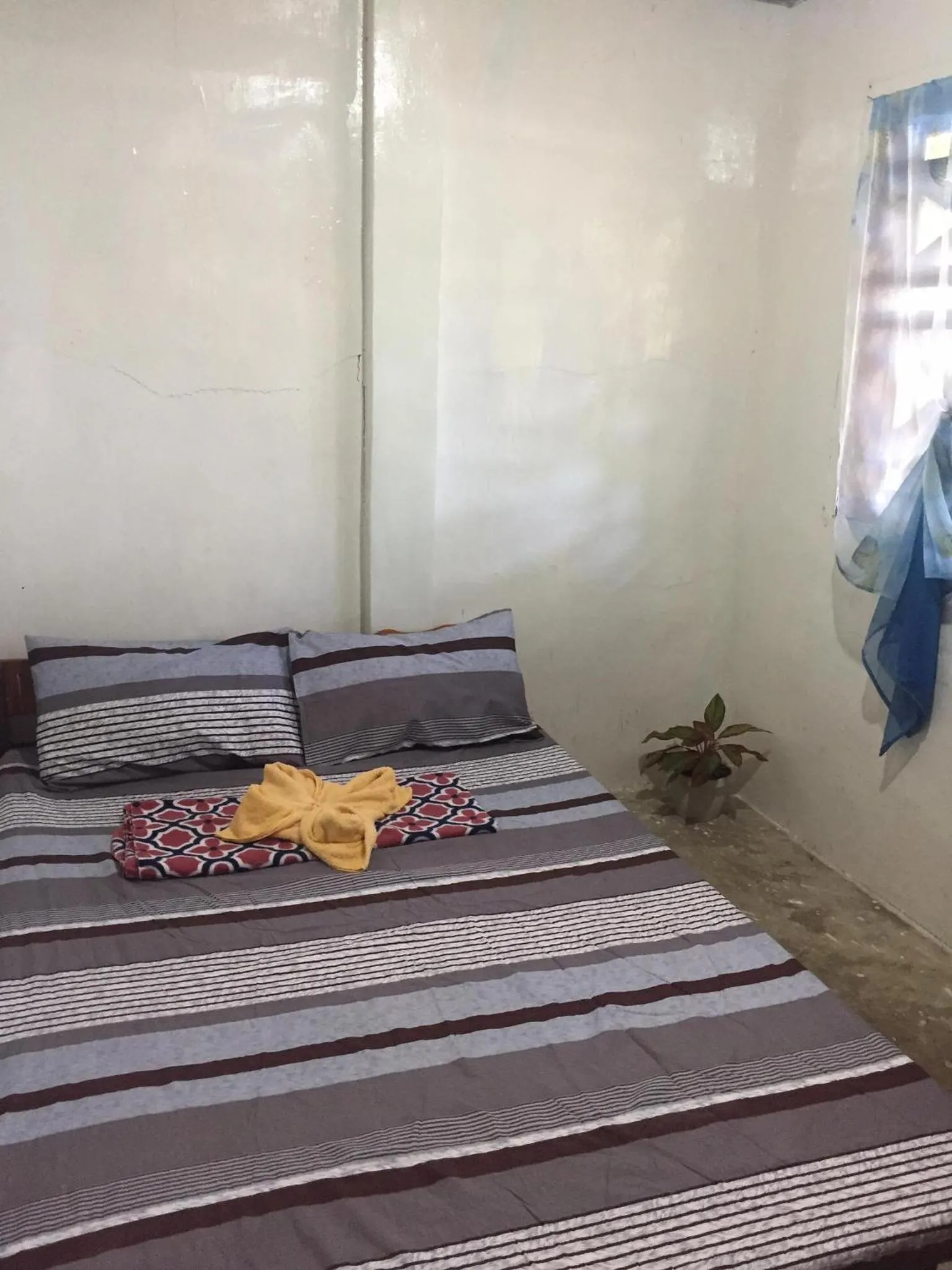 Bed in SHALOM CAMP