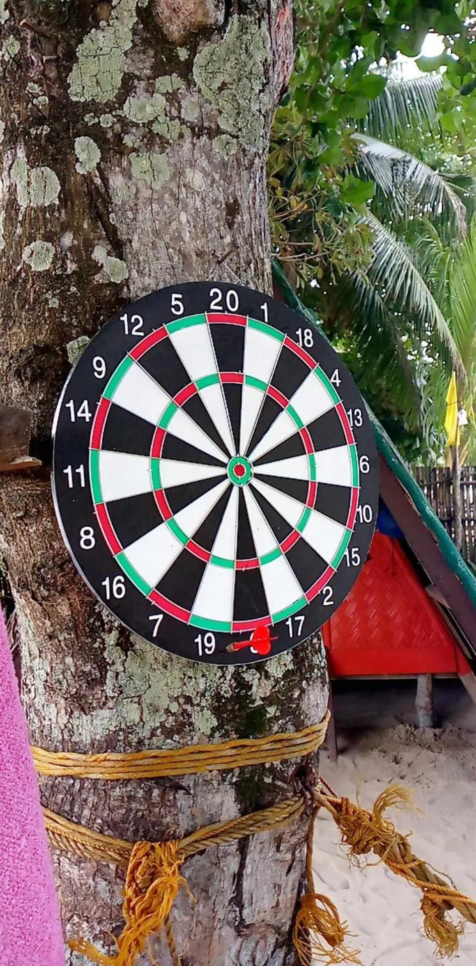 Darts in SHALOM CAMP