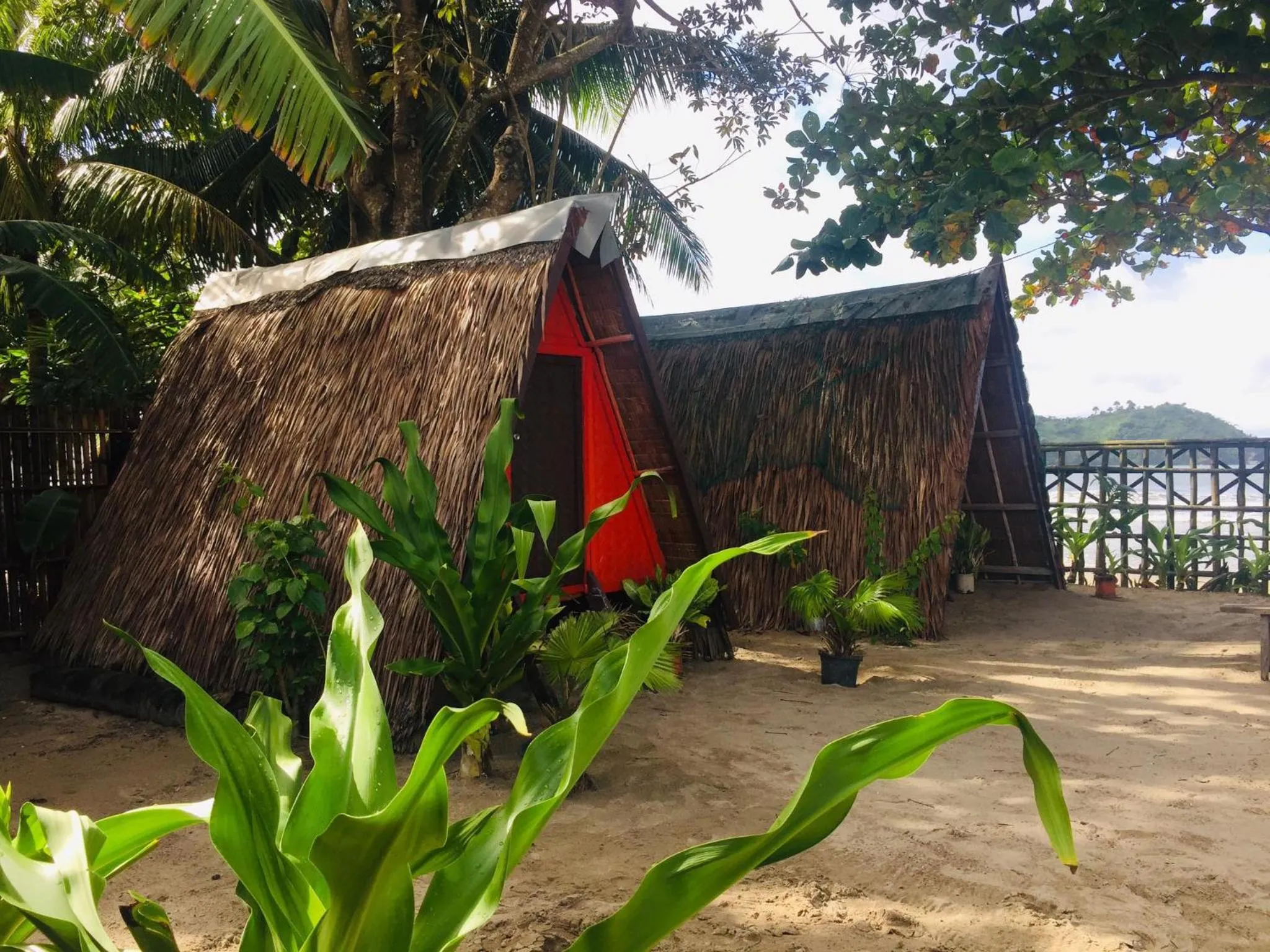 Natural landscape in SHALOM CAMP