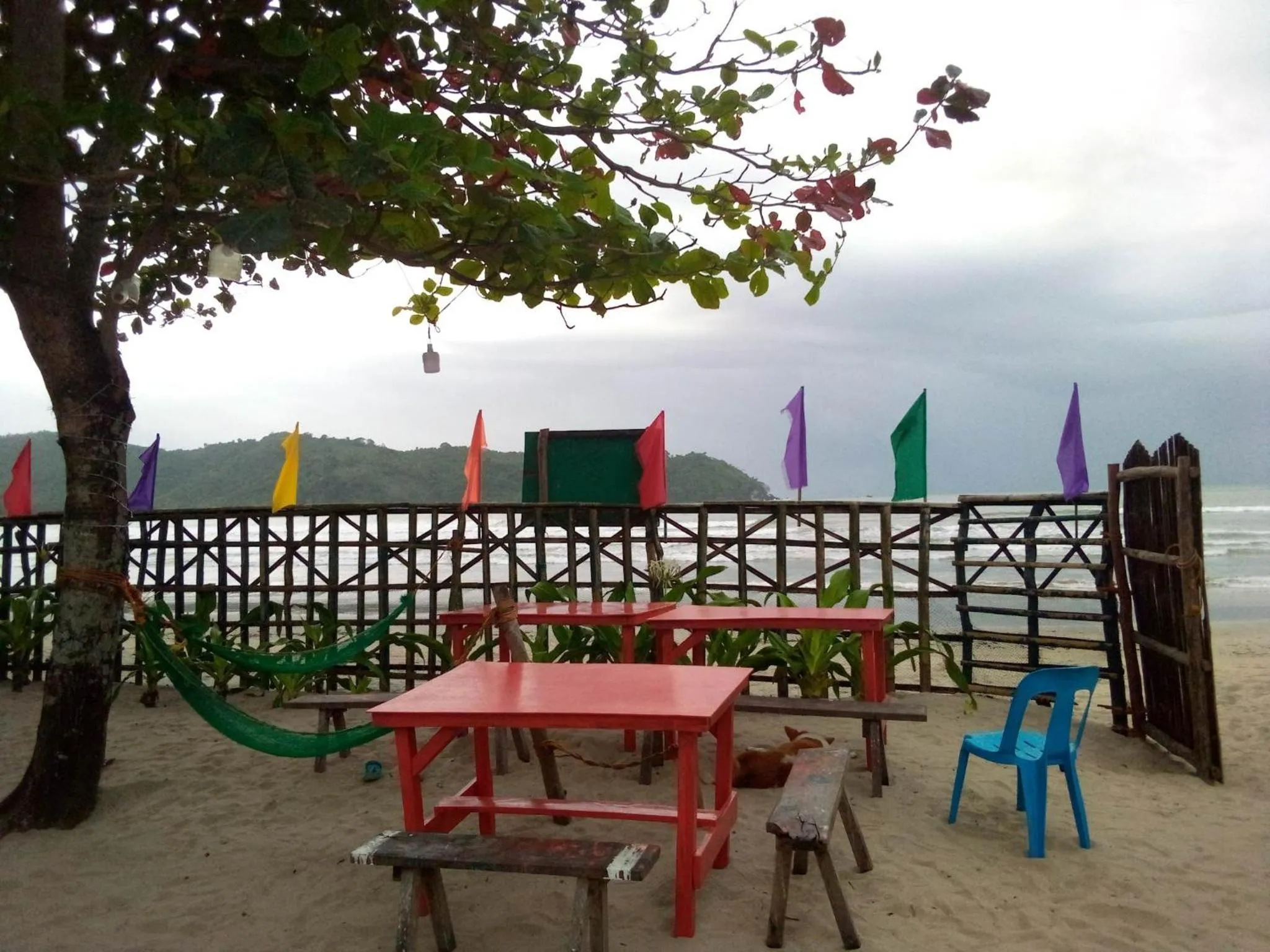 Natural landscape in SHALOM CAMP