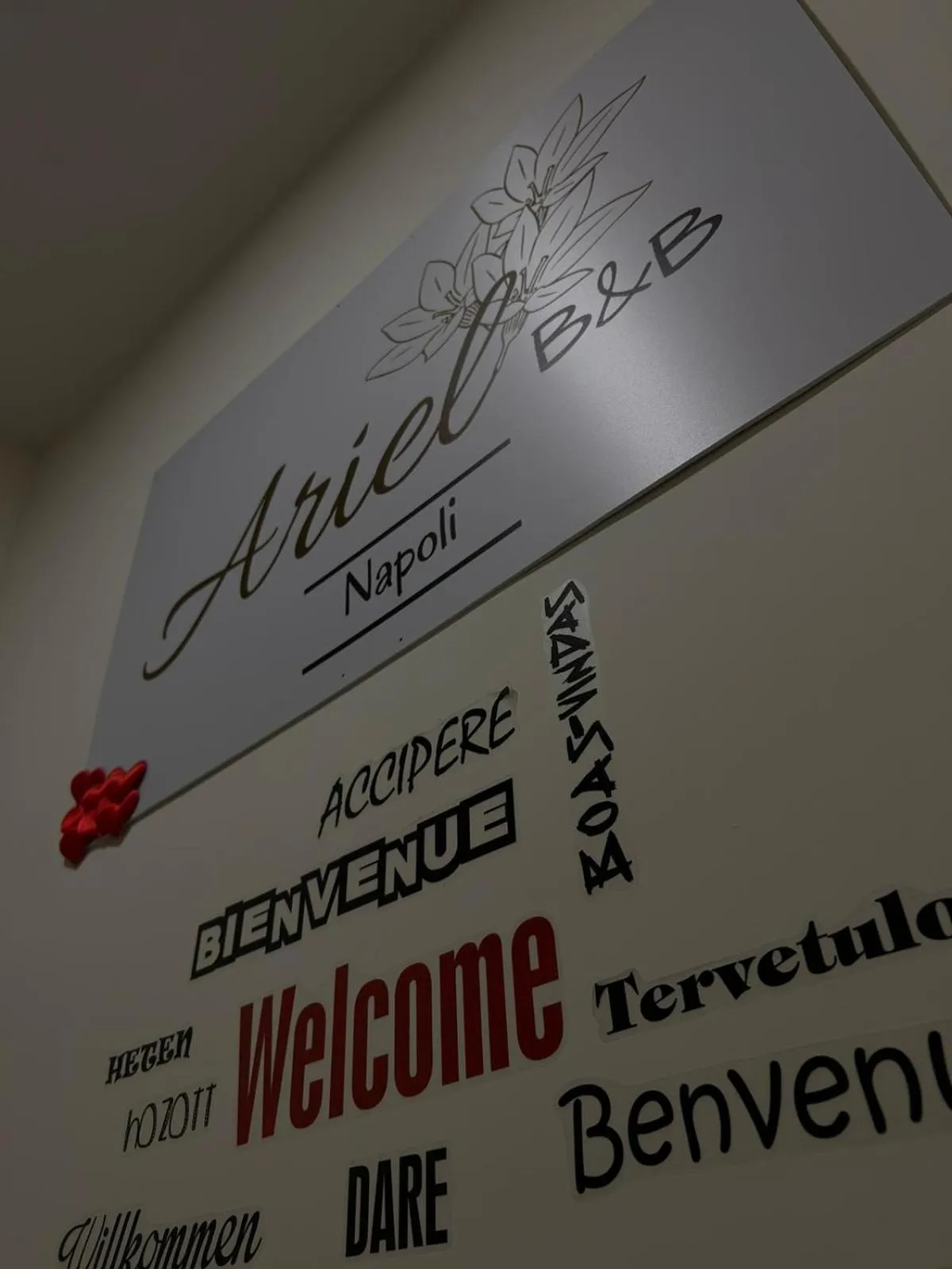 Property logo or sign in ARIEL B&B