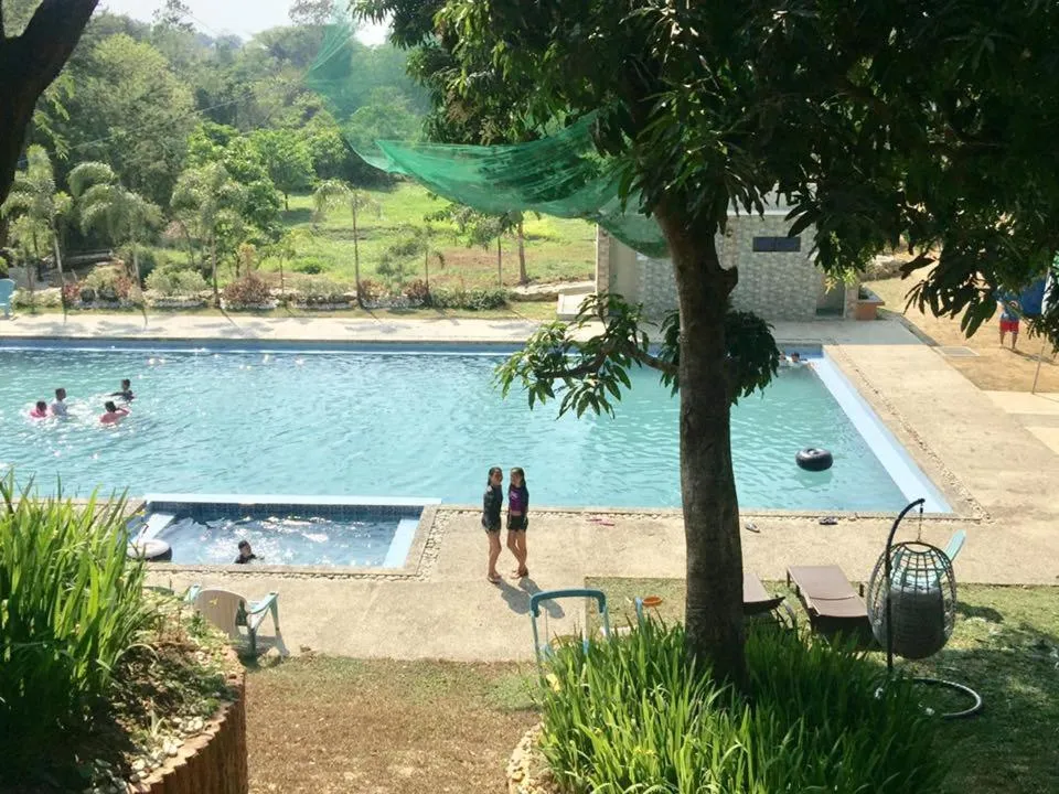 Swimming pool in Nature Care Resort and Farm