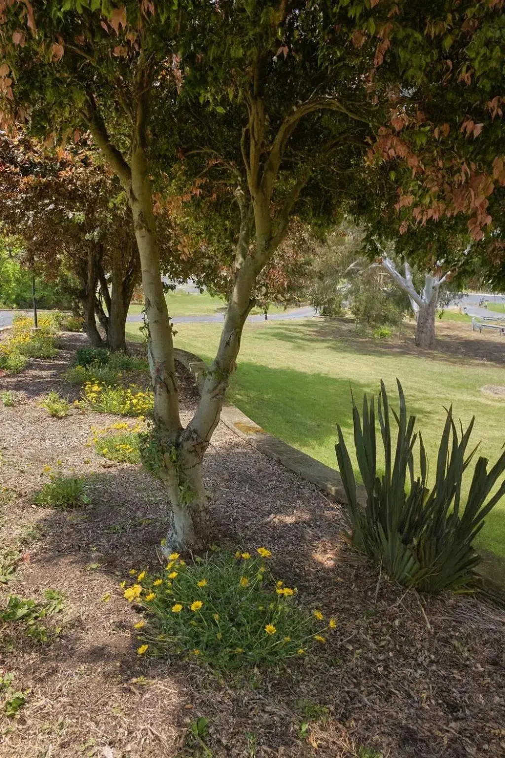 Garden view in Motel Traralgon Garden view in Motel Traralgon