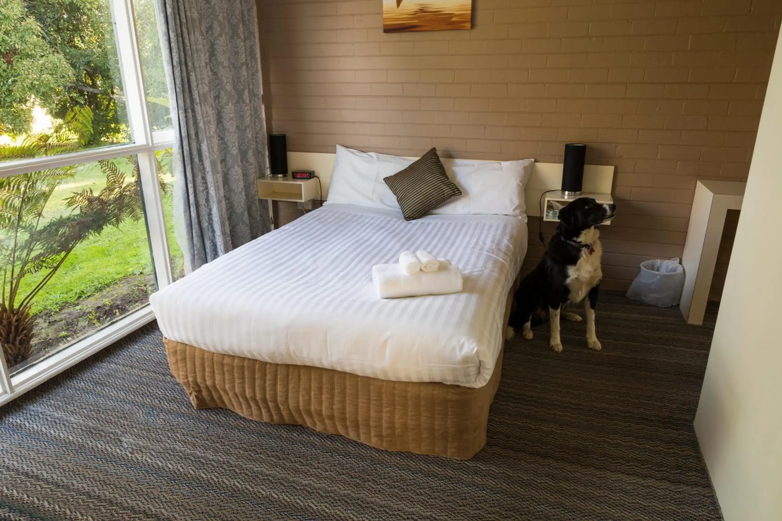 Budget Family Room - single occupancy in Motel Traralgon Budget Family Room - single occupancy in Motel Traralgon