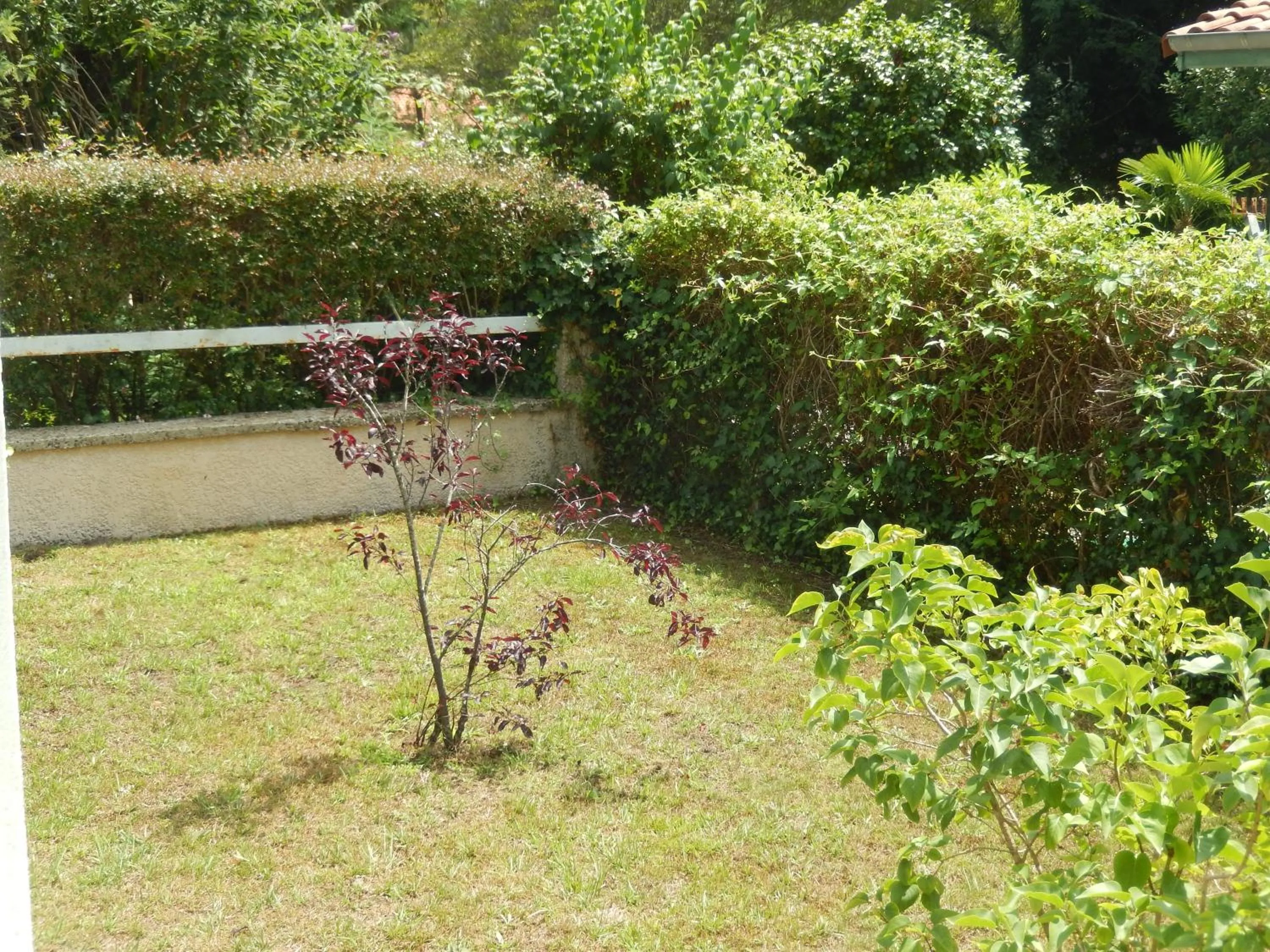 Garden in Villa De Guénifey