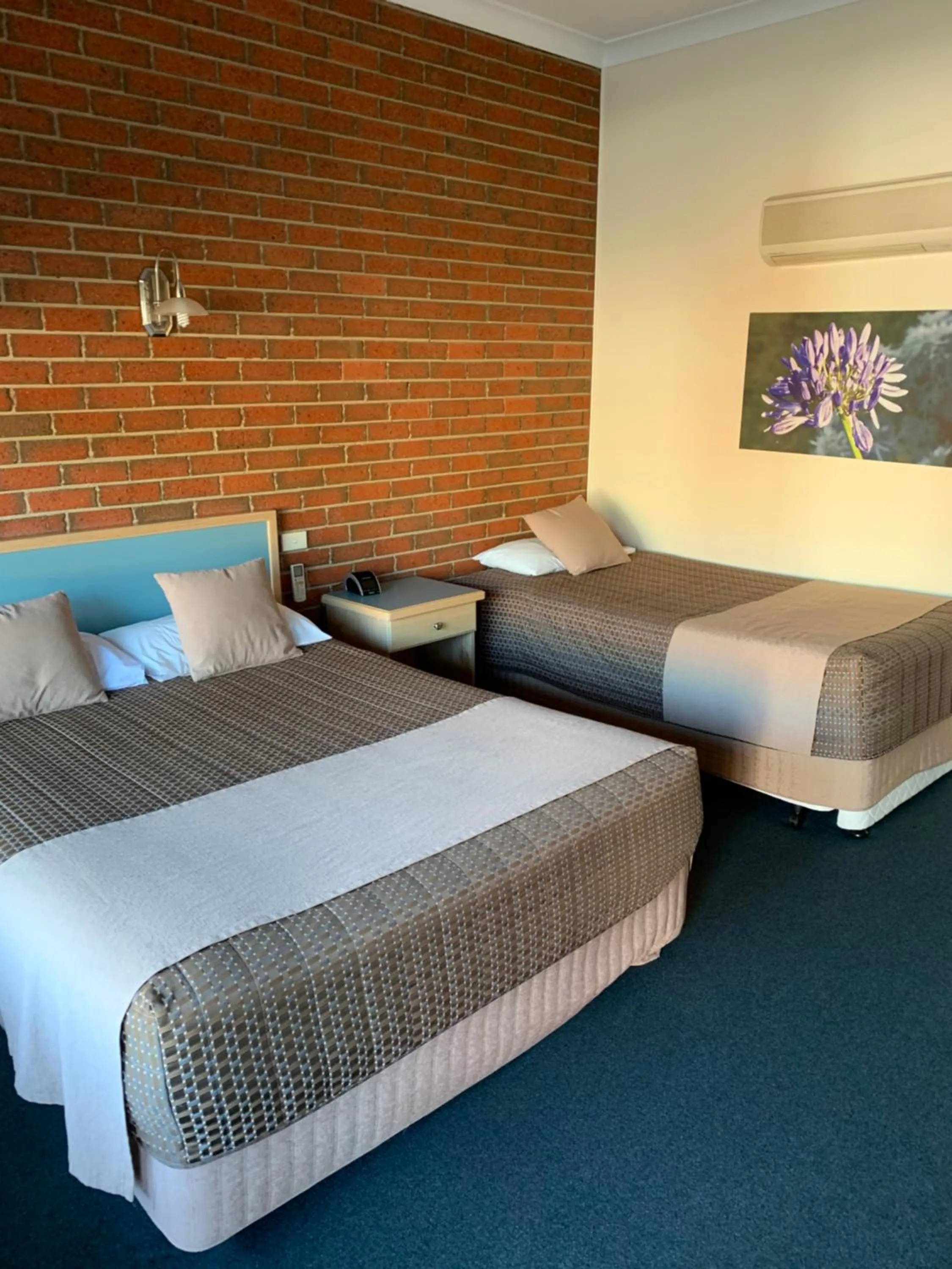 Bed in Bairnsdale Tanjil Motor Inn