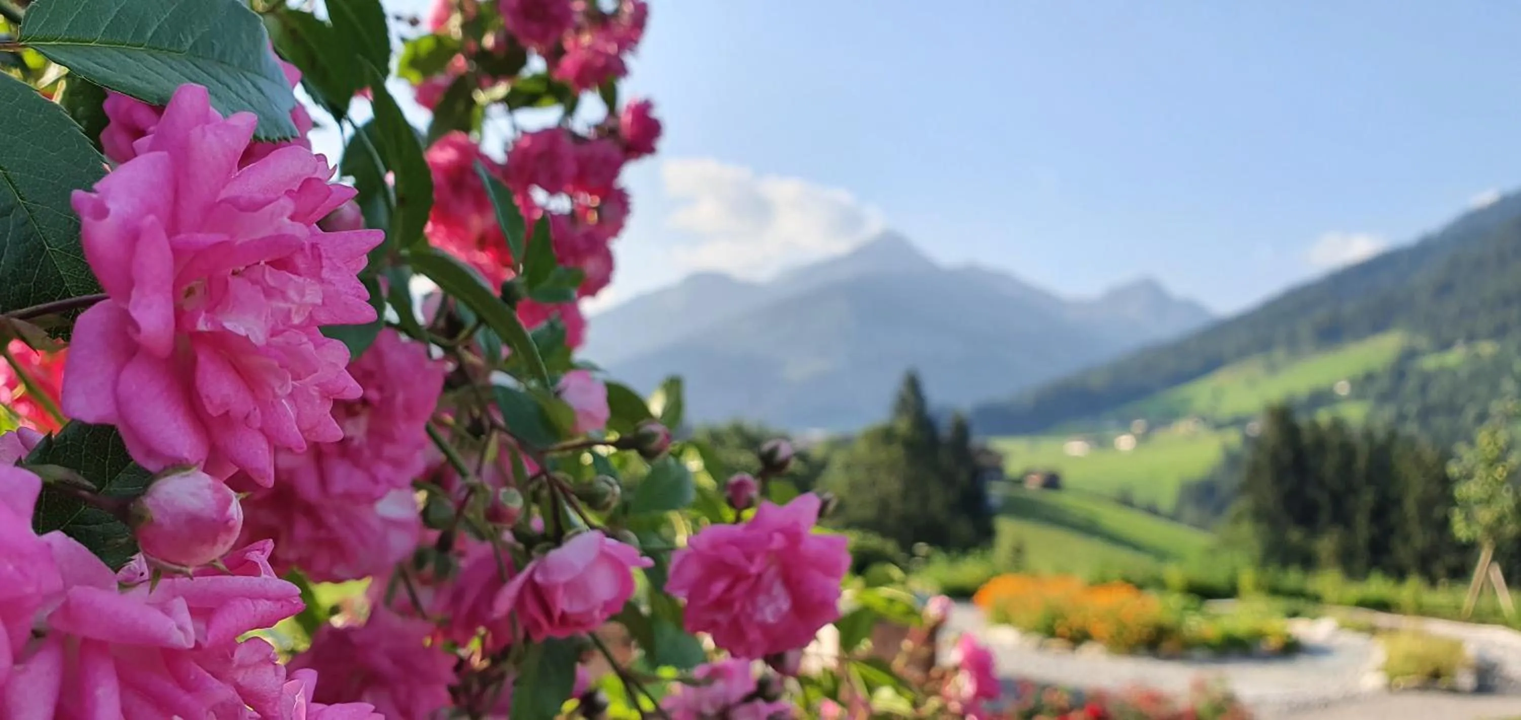 Garden in Alpbacherhof Mountain & Spa Resort
