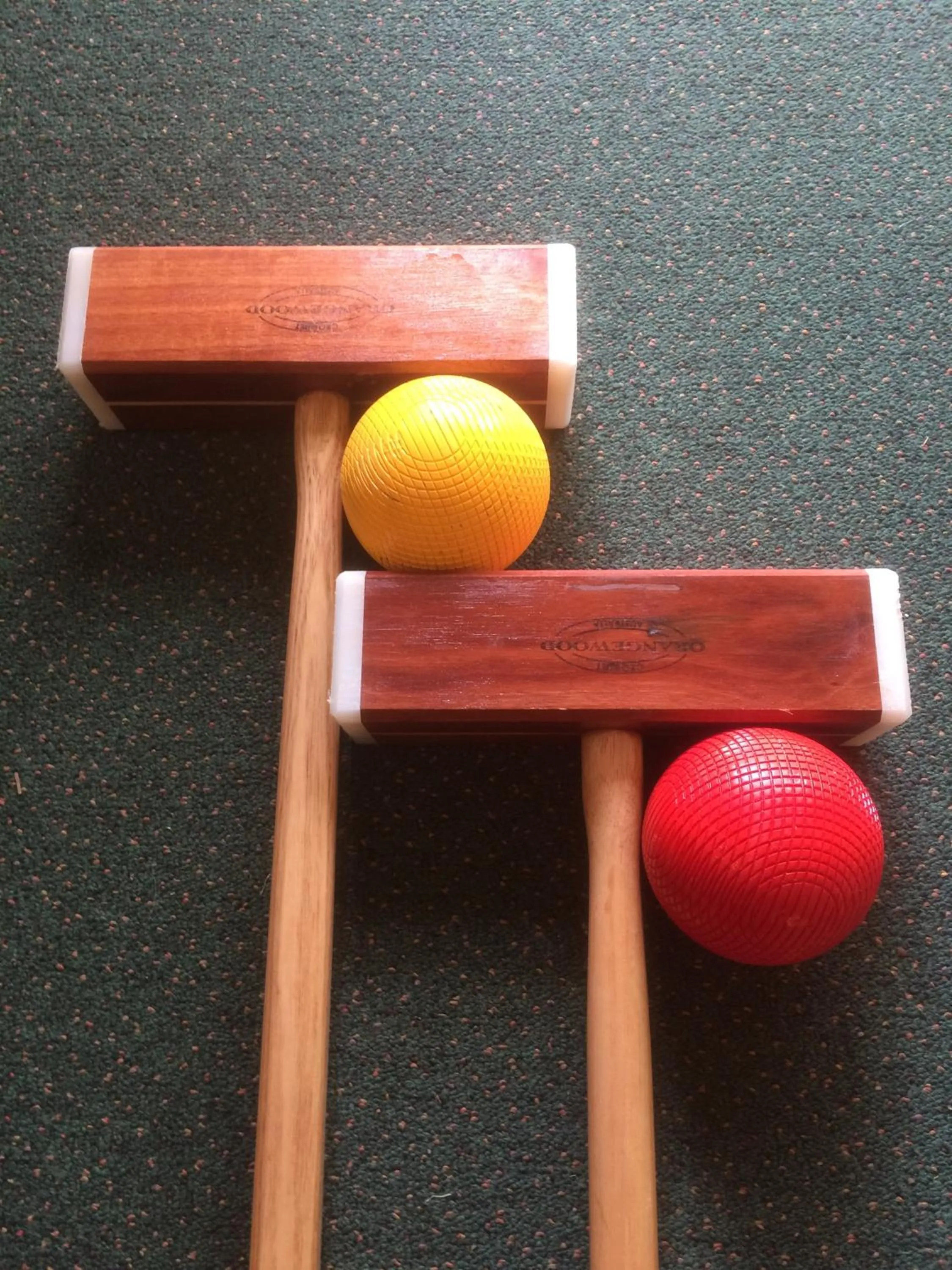 Activities in The Falls Montville