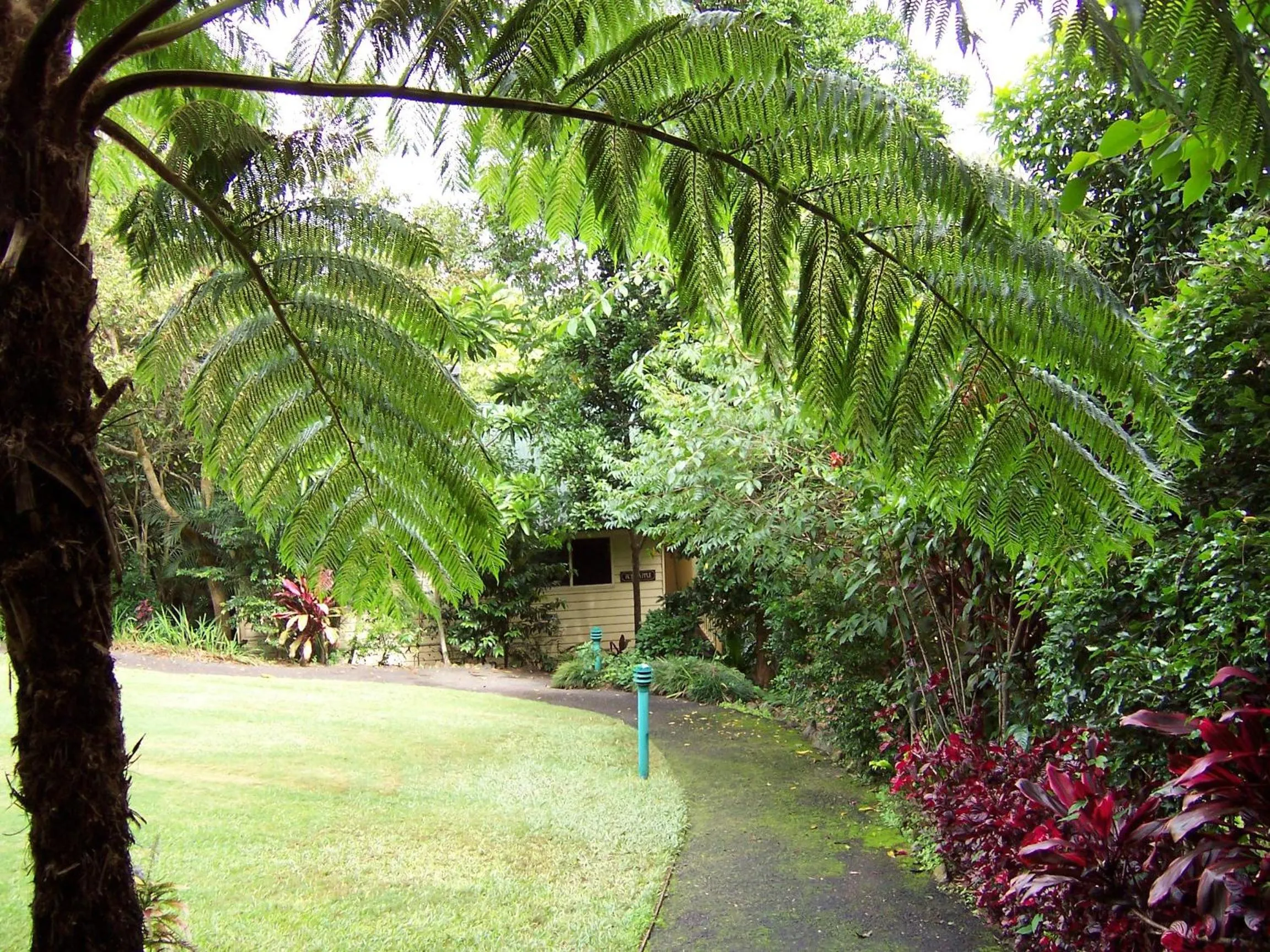 Garden in The Falls Montville