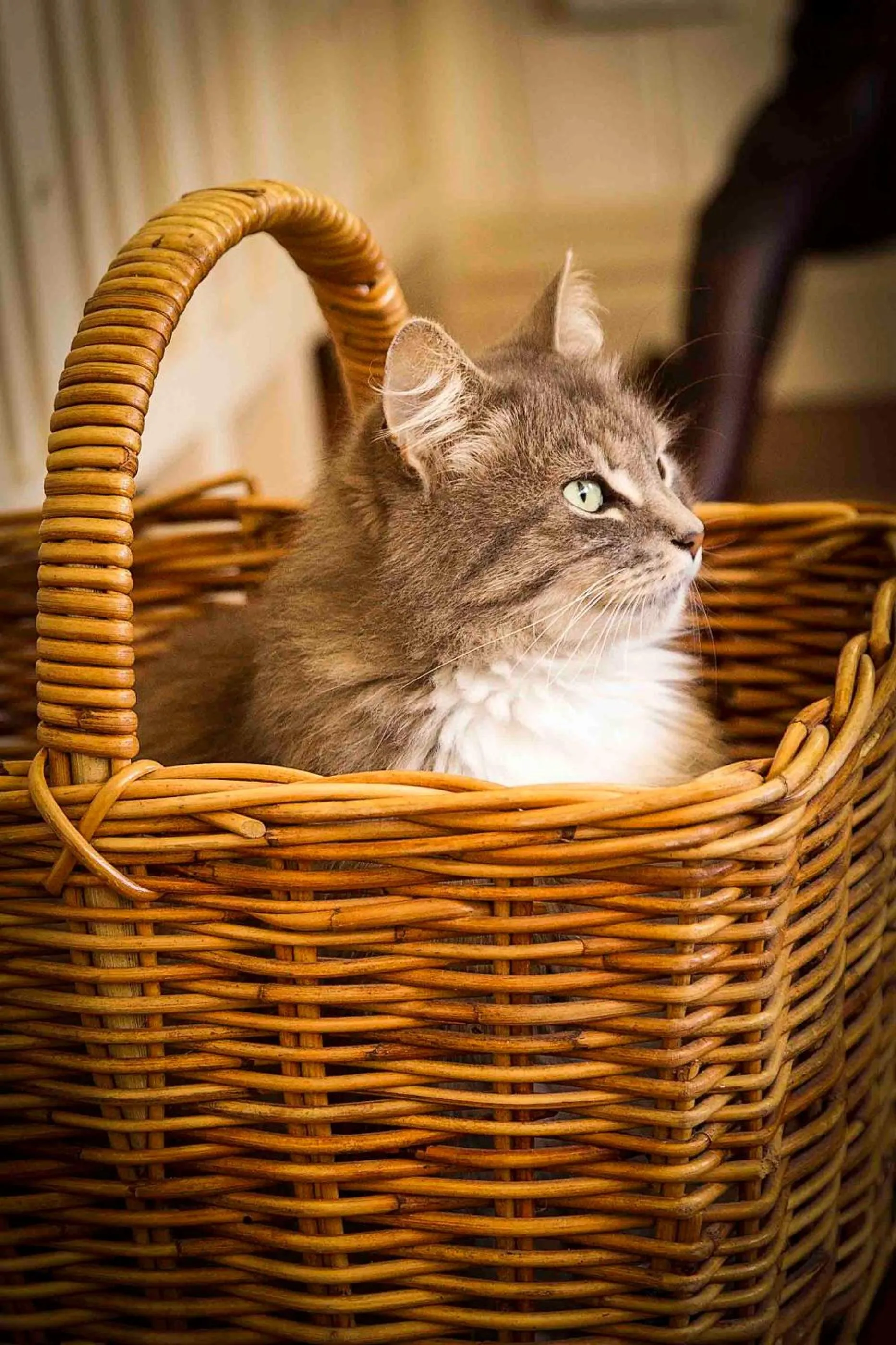 Decorative detail in The Falls Montville