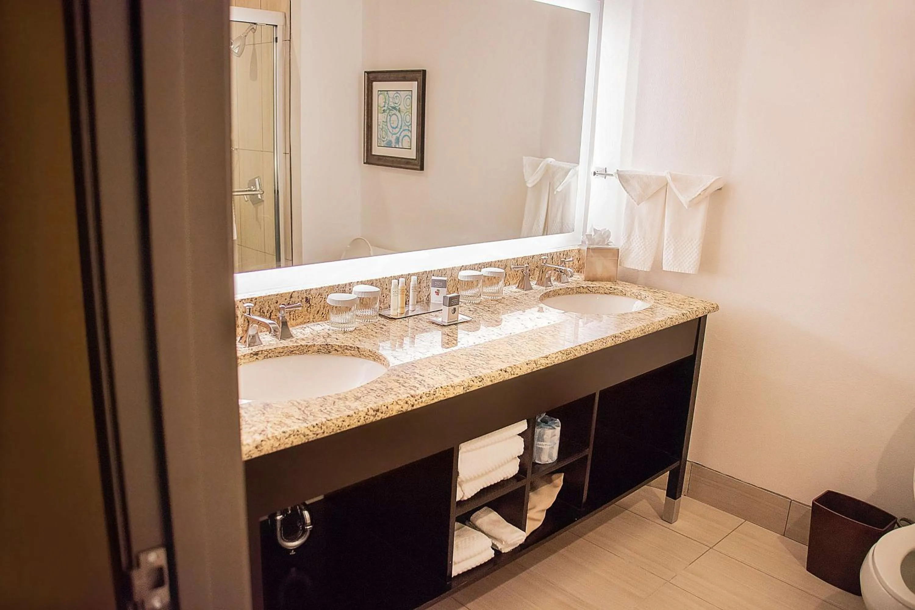 Bathroom in Doubletree by Hilton McAllen