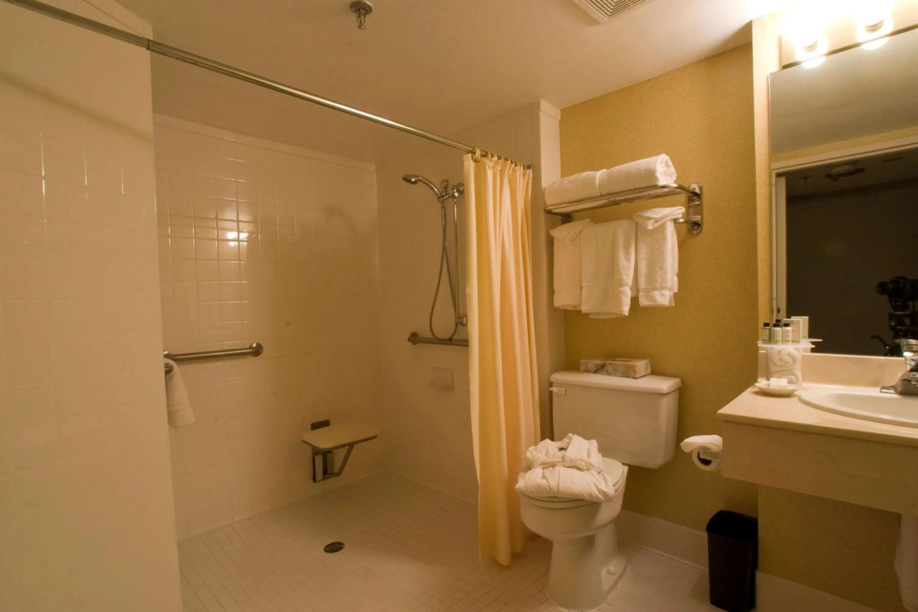 Bathroom in Doubletree by Hilton McAllen