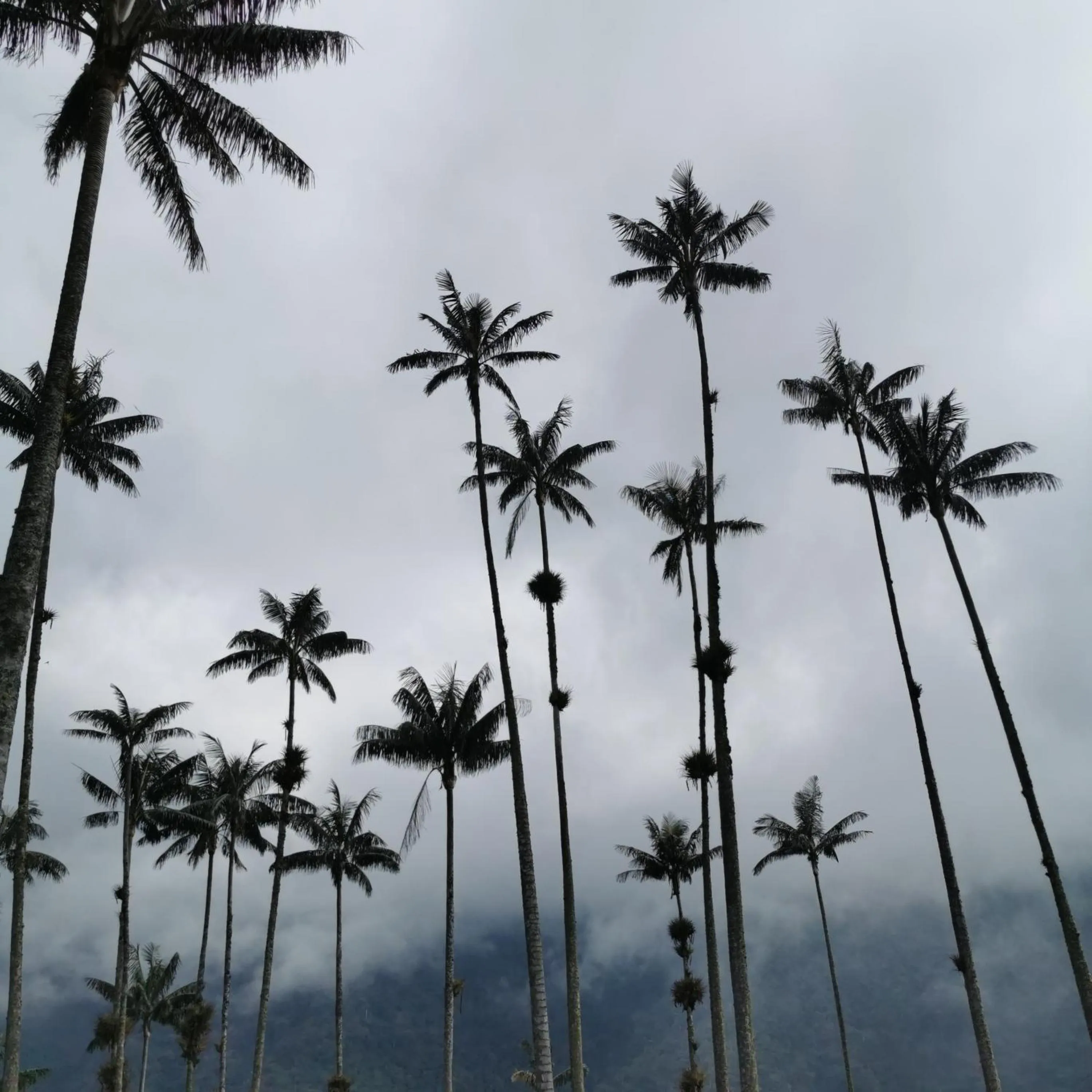 Natural landscape in Hotel La Caracola Salento