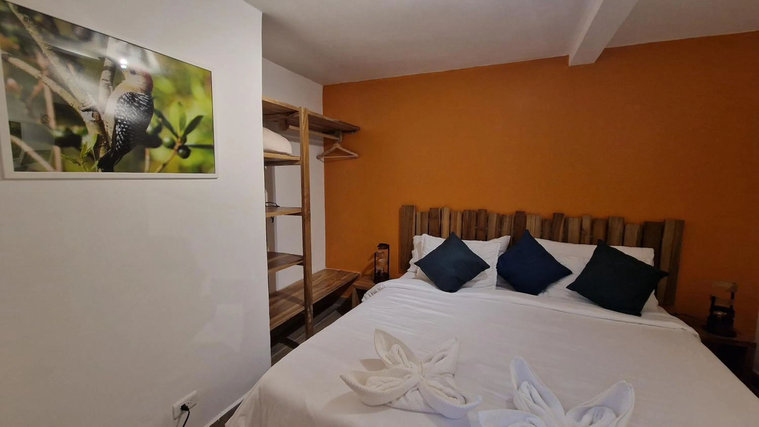 Photo of the whole room, Bed in Hotel La Caracola Salento