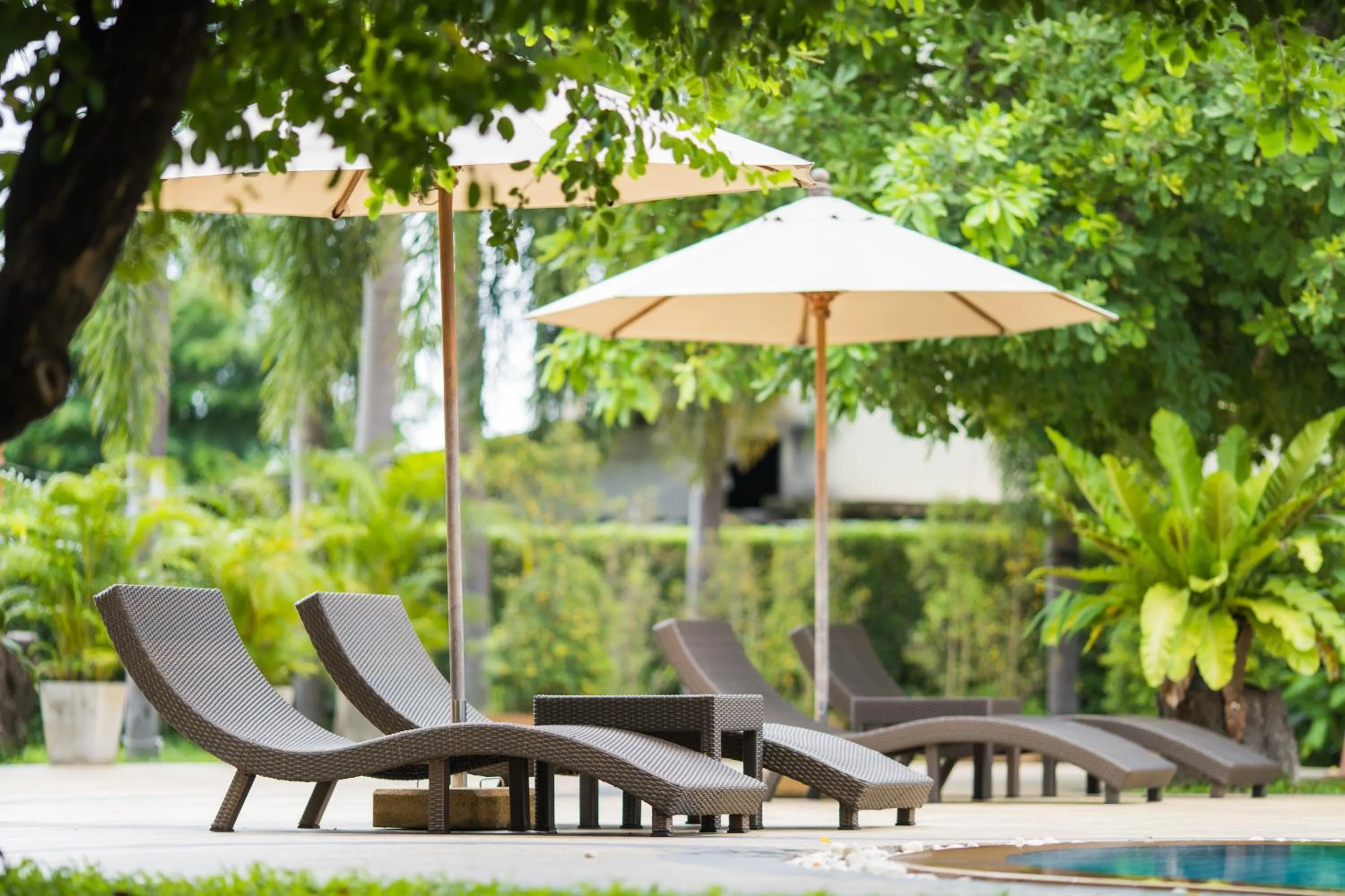 Swimming pool in Phufa Waree Chiangrai Resort - SHA Extra Plus