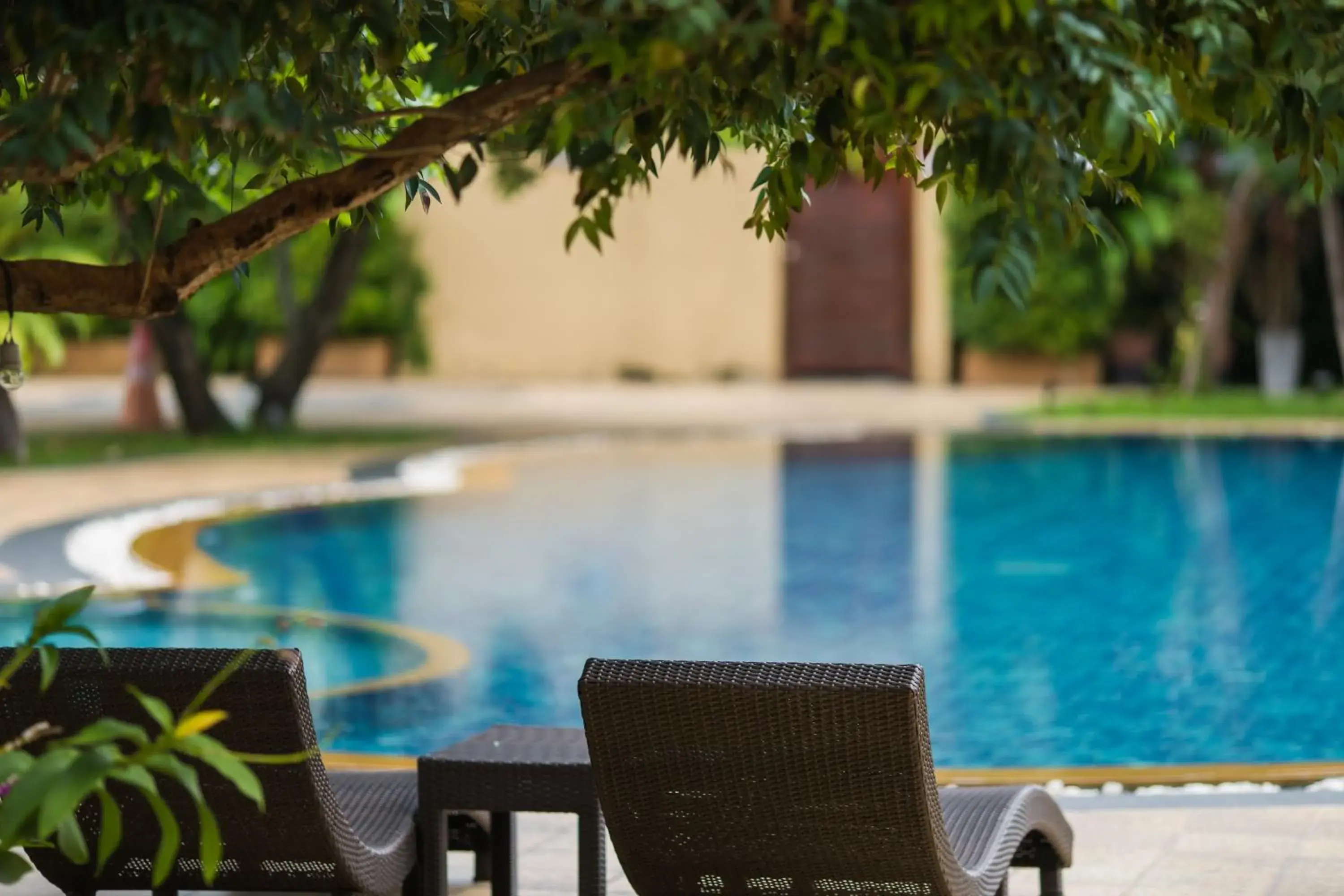 Swimming pool in Phufa Waree Chiangrai Resort - SHA Extra Plus Swimming pool in Phufa Waree Chiangrai Resort - SHA Extra Plus