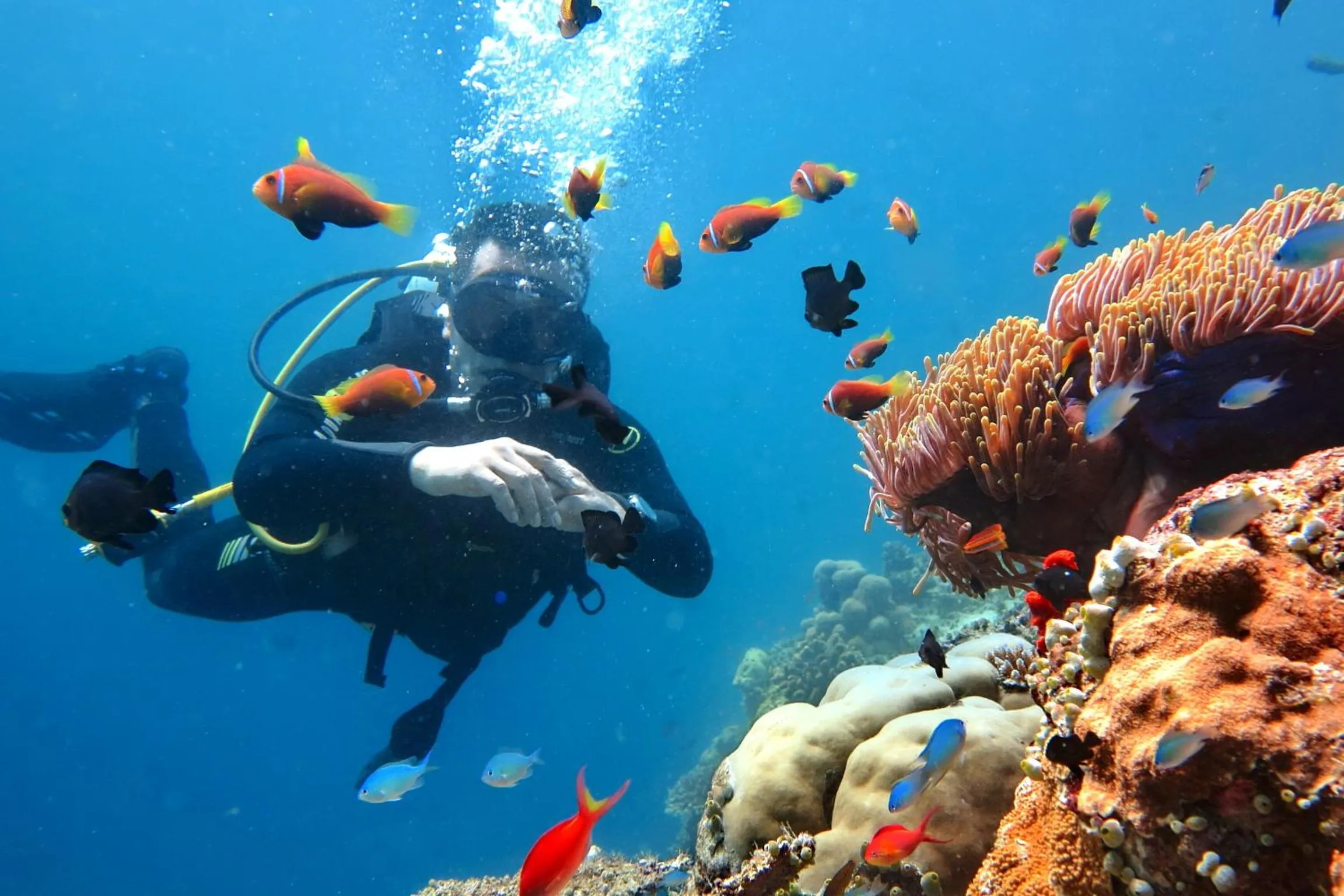 Snorkeling in Kaani Beach Hotel