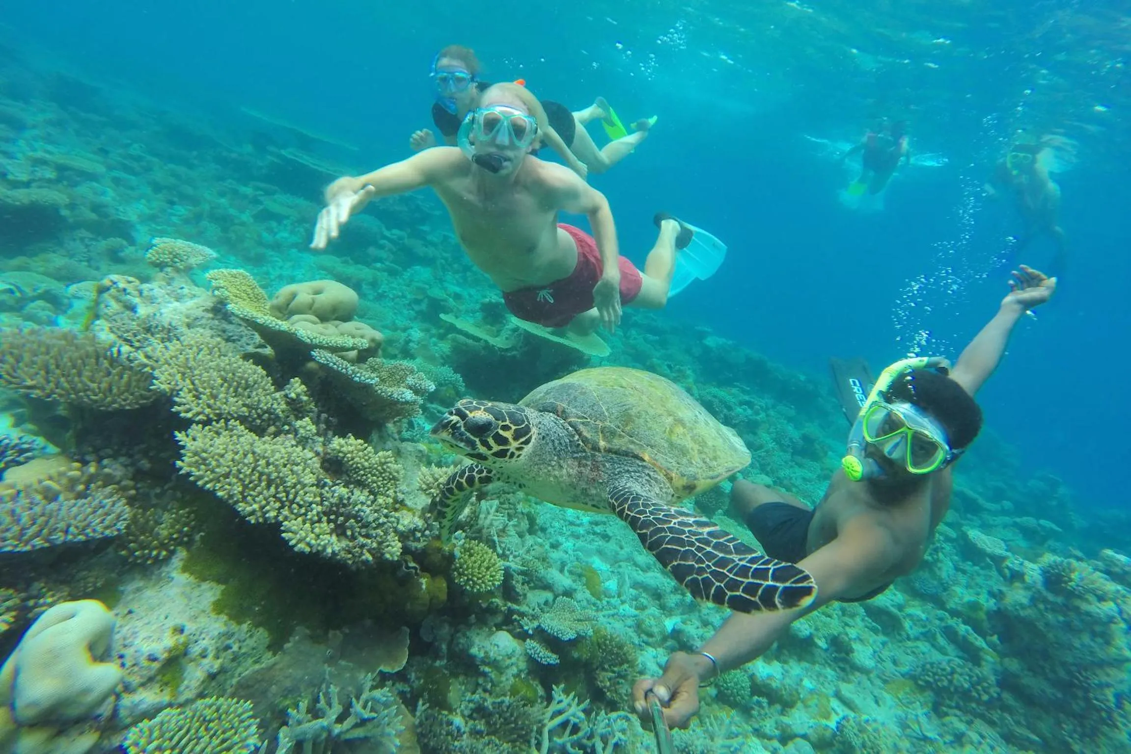 Snorkeling in Kaani Beach Hotel