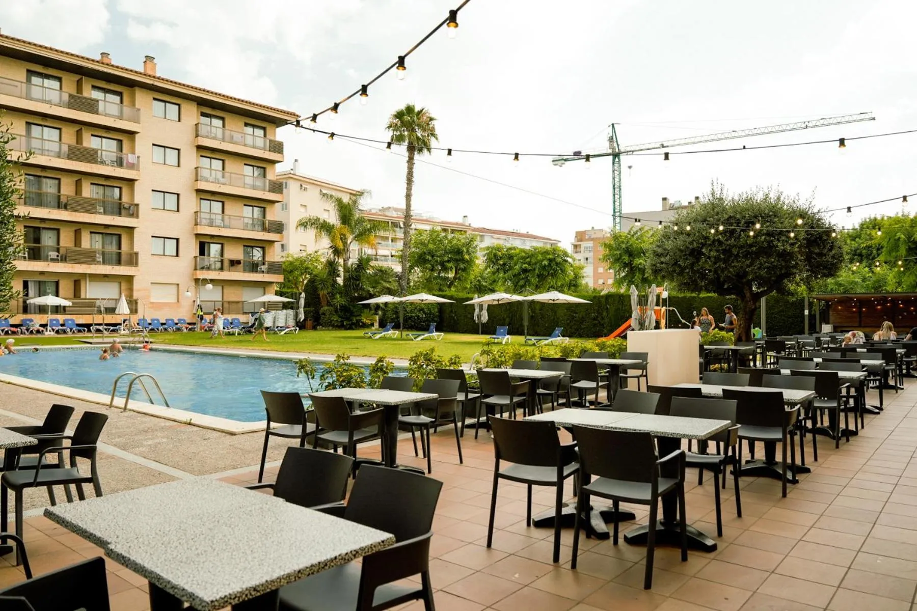 Activities in Olimar II