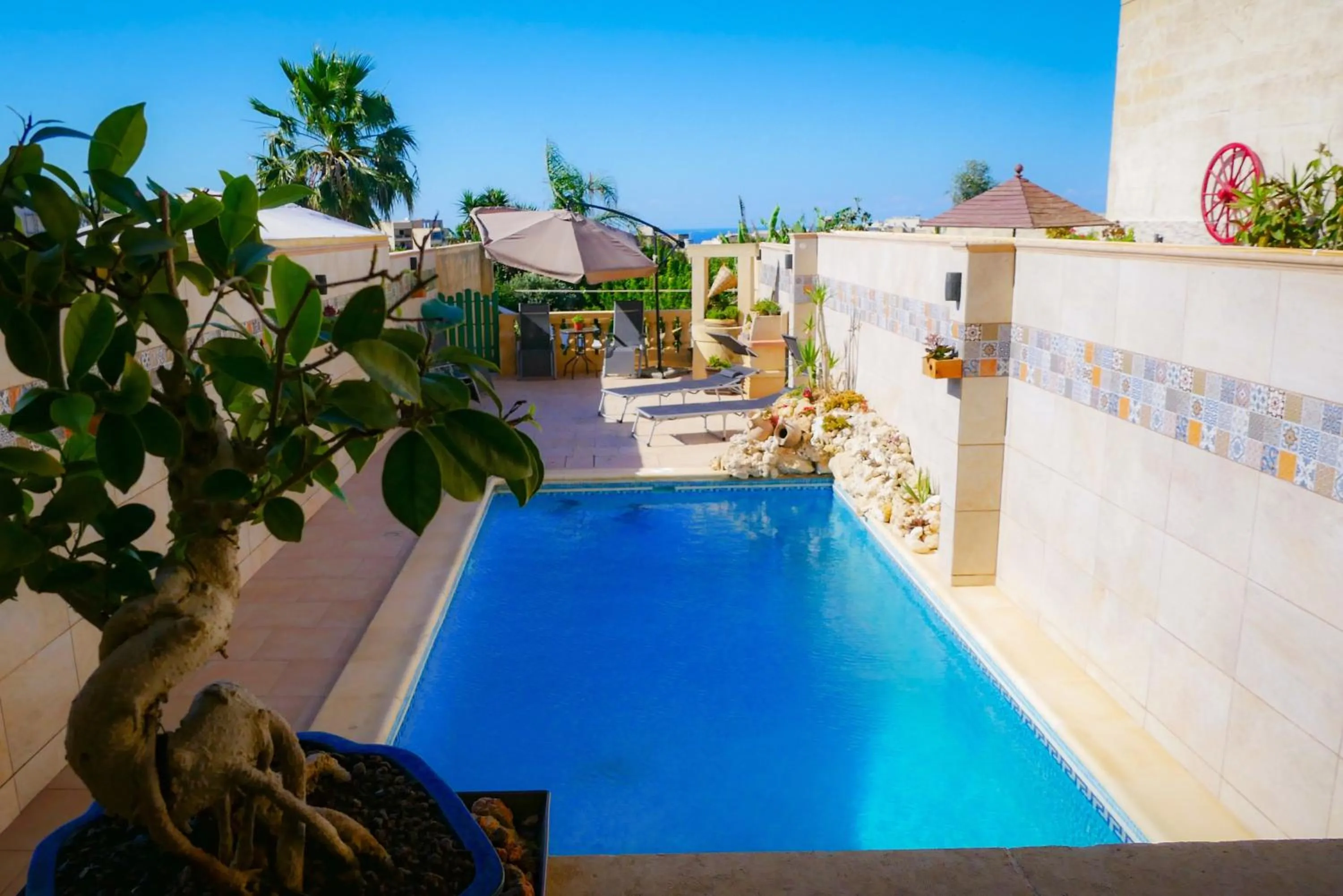Pool view in Narcisa Farmhouse