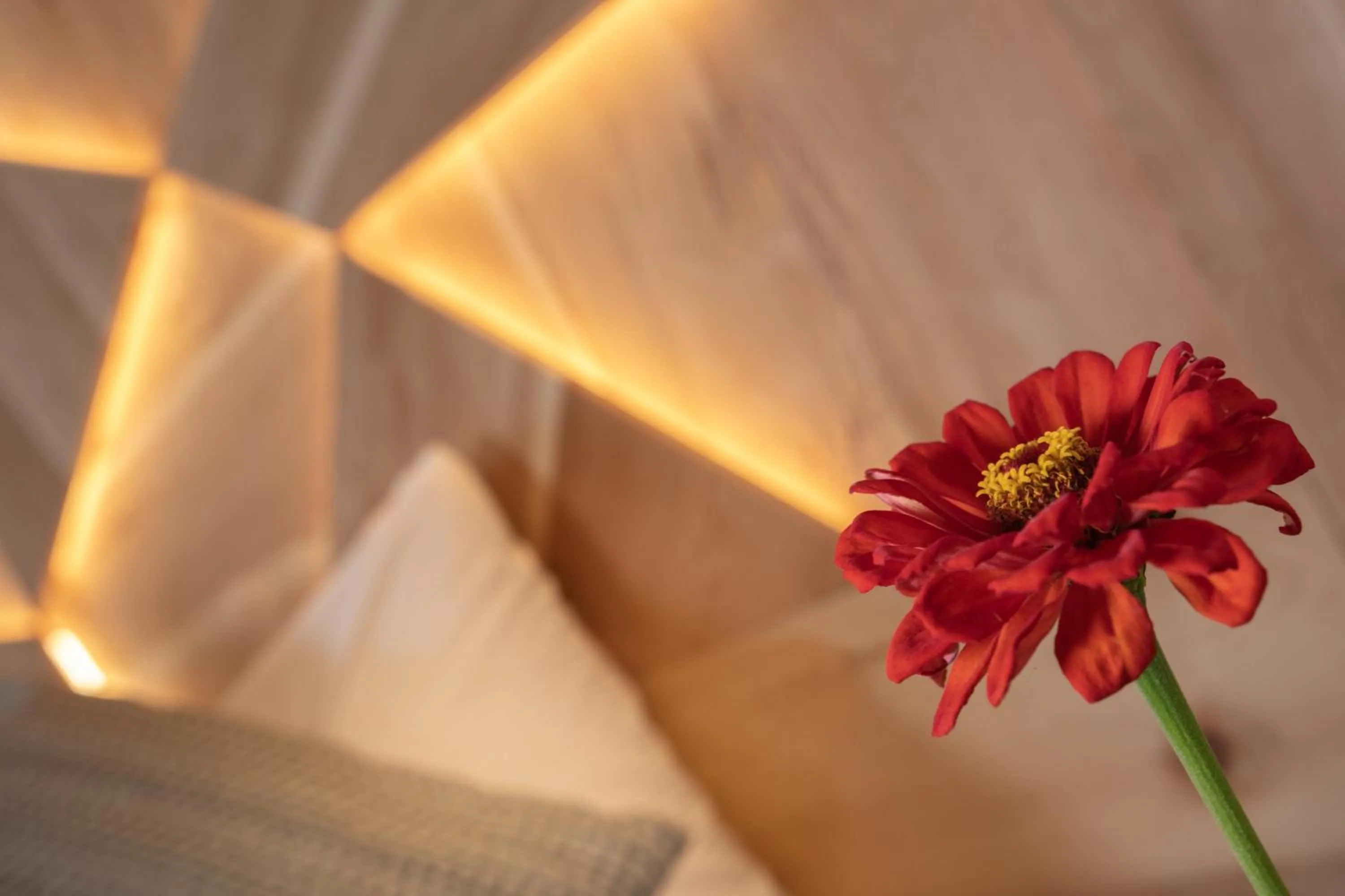 Decorative detail in Alpine Refuge Villa Adler