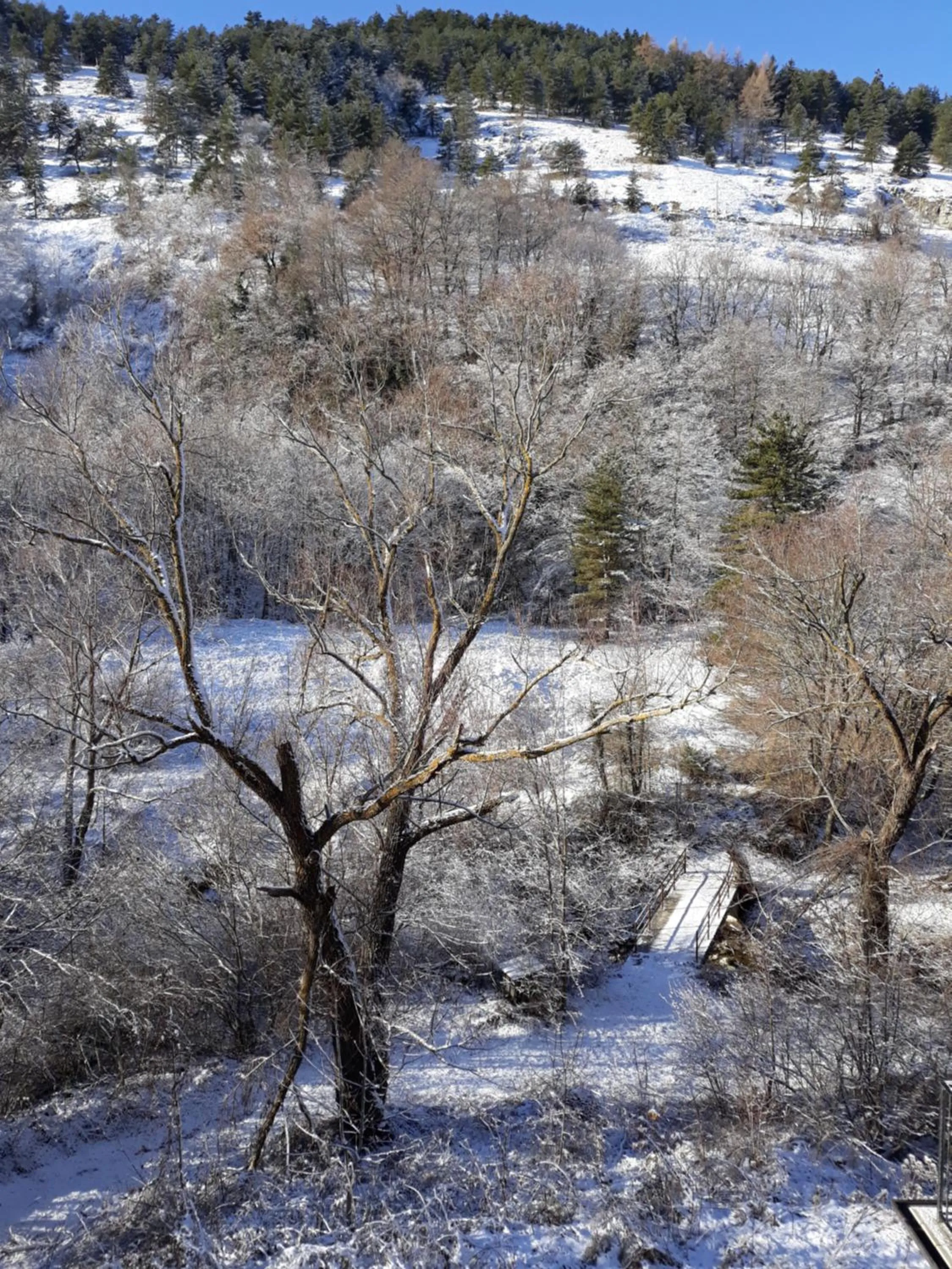 Natural landscape in B&B IL GHIRO