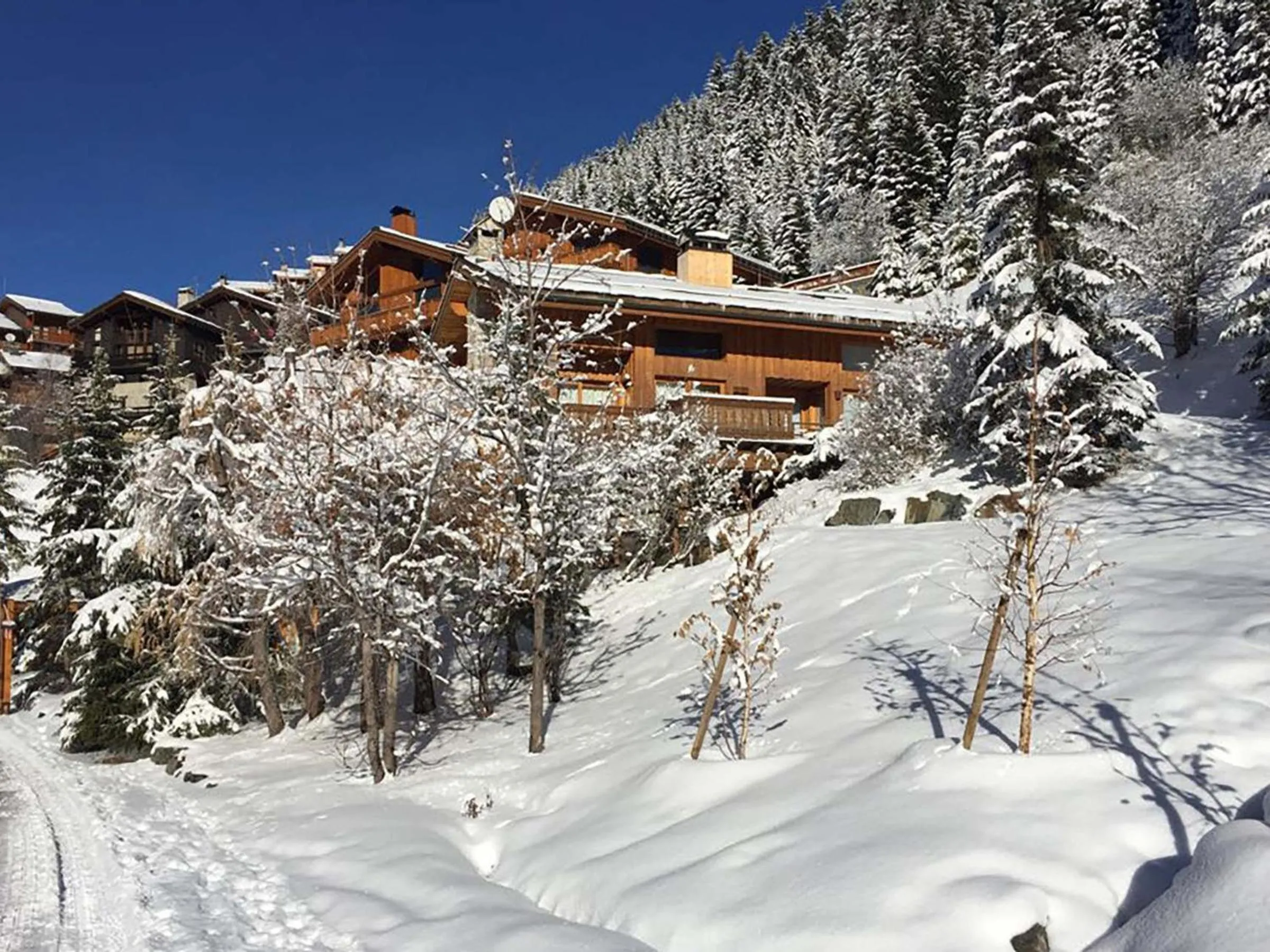 Charmant chalet 2 pièces avec terrasse à Méribel - FR-1-182-179