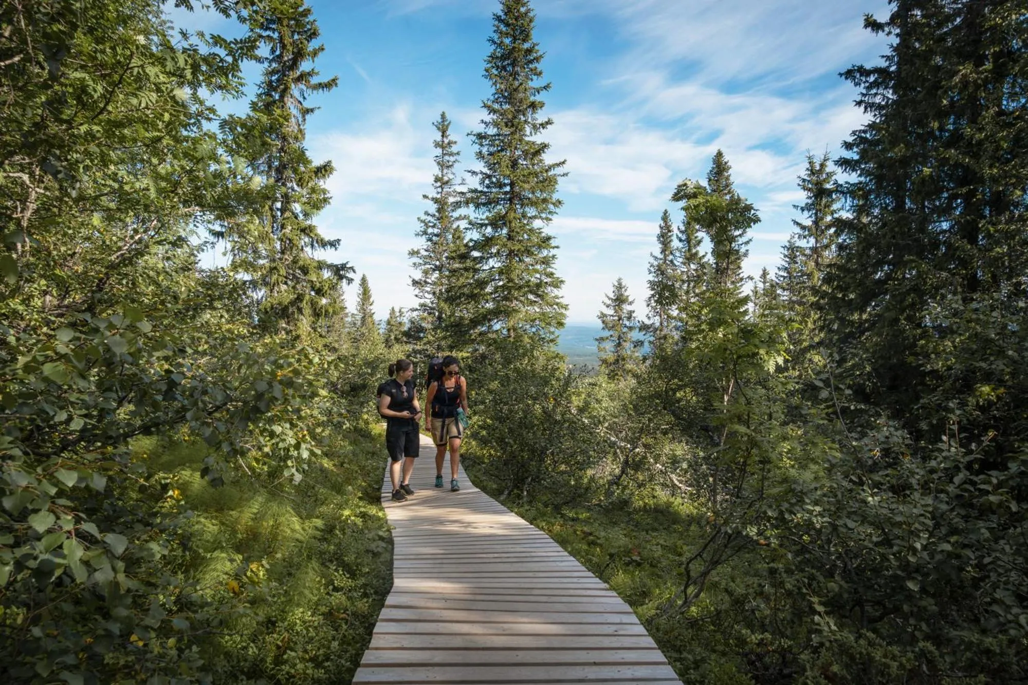 Hiking in Olarsgården Hotell