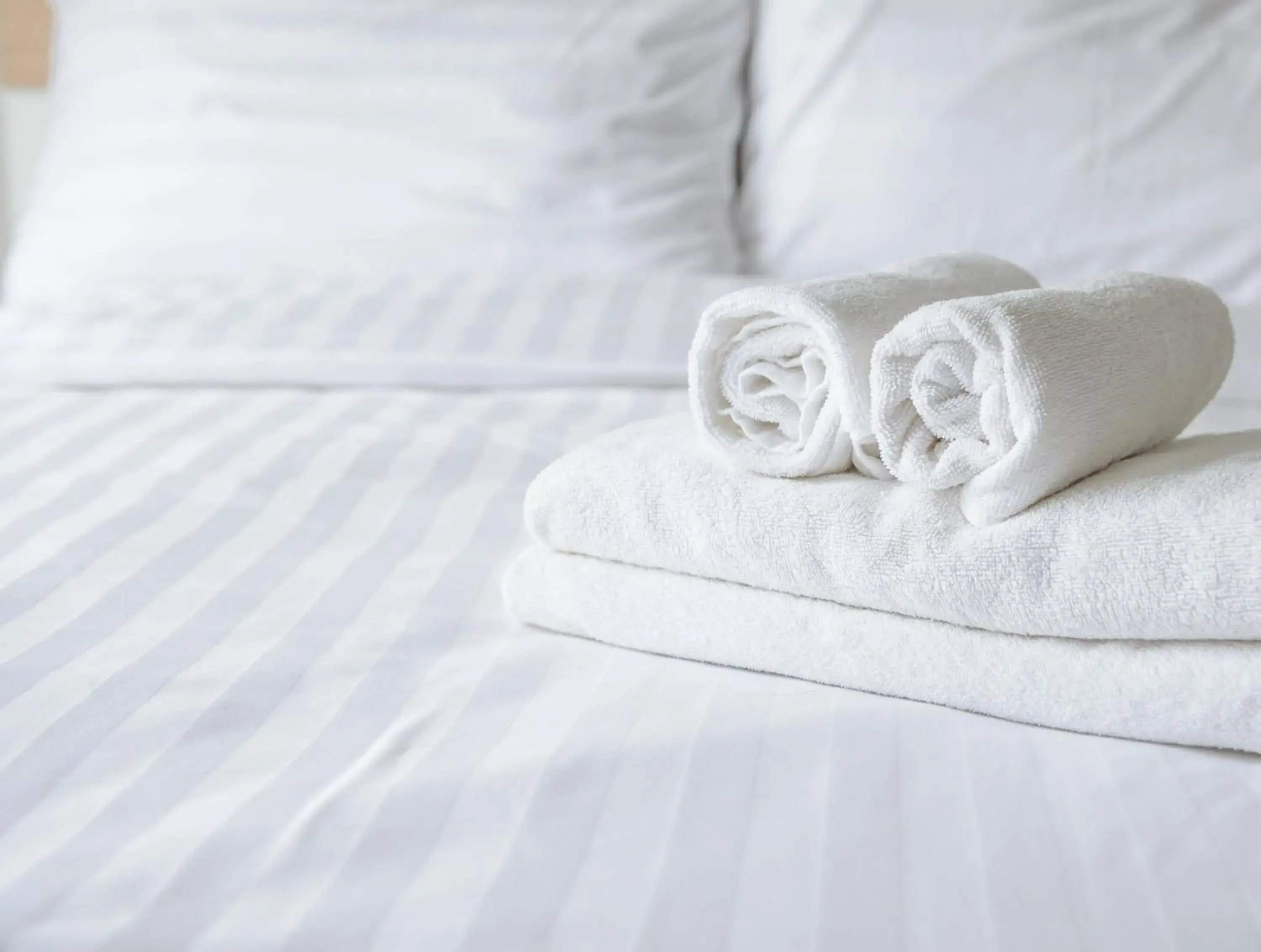 Bed in Super 8 by Wyndham Spruce Grove Bed in Super 8 by Wyndham Spruce Grove