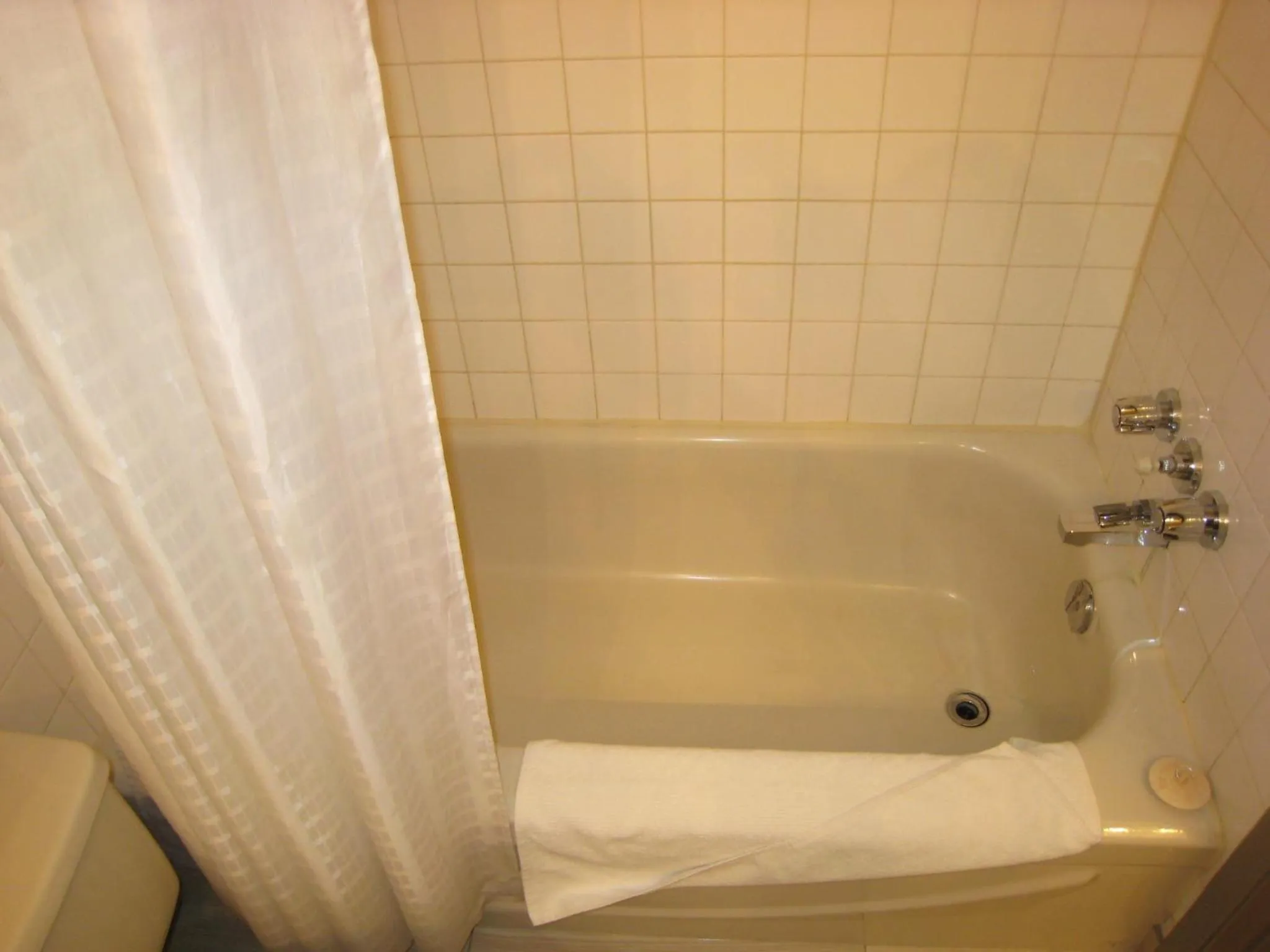 Shower in Heritage Inn Hotel & Convention Centre - Cranbrook