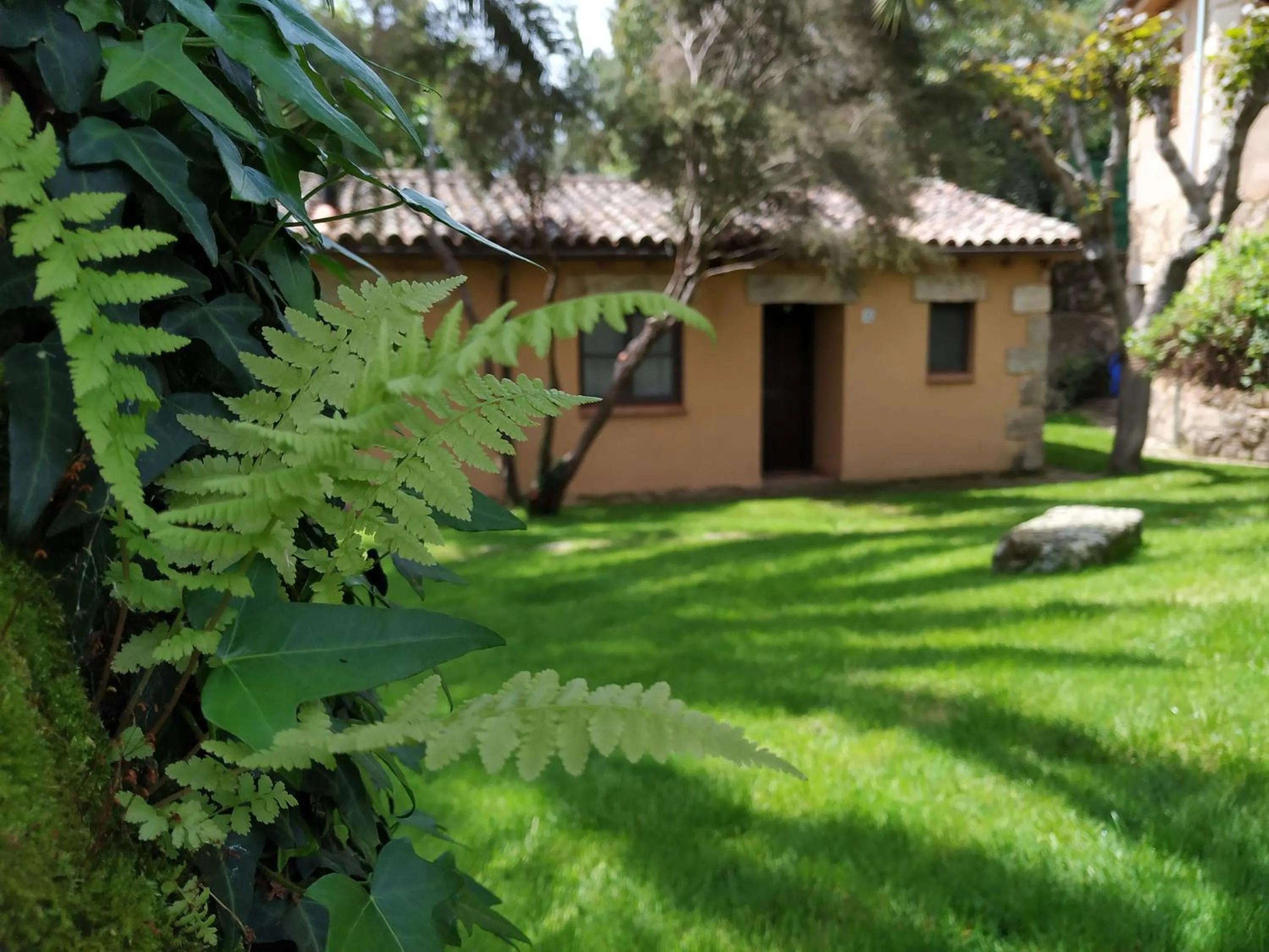 Garden in Apartamentos El Calambuco