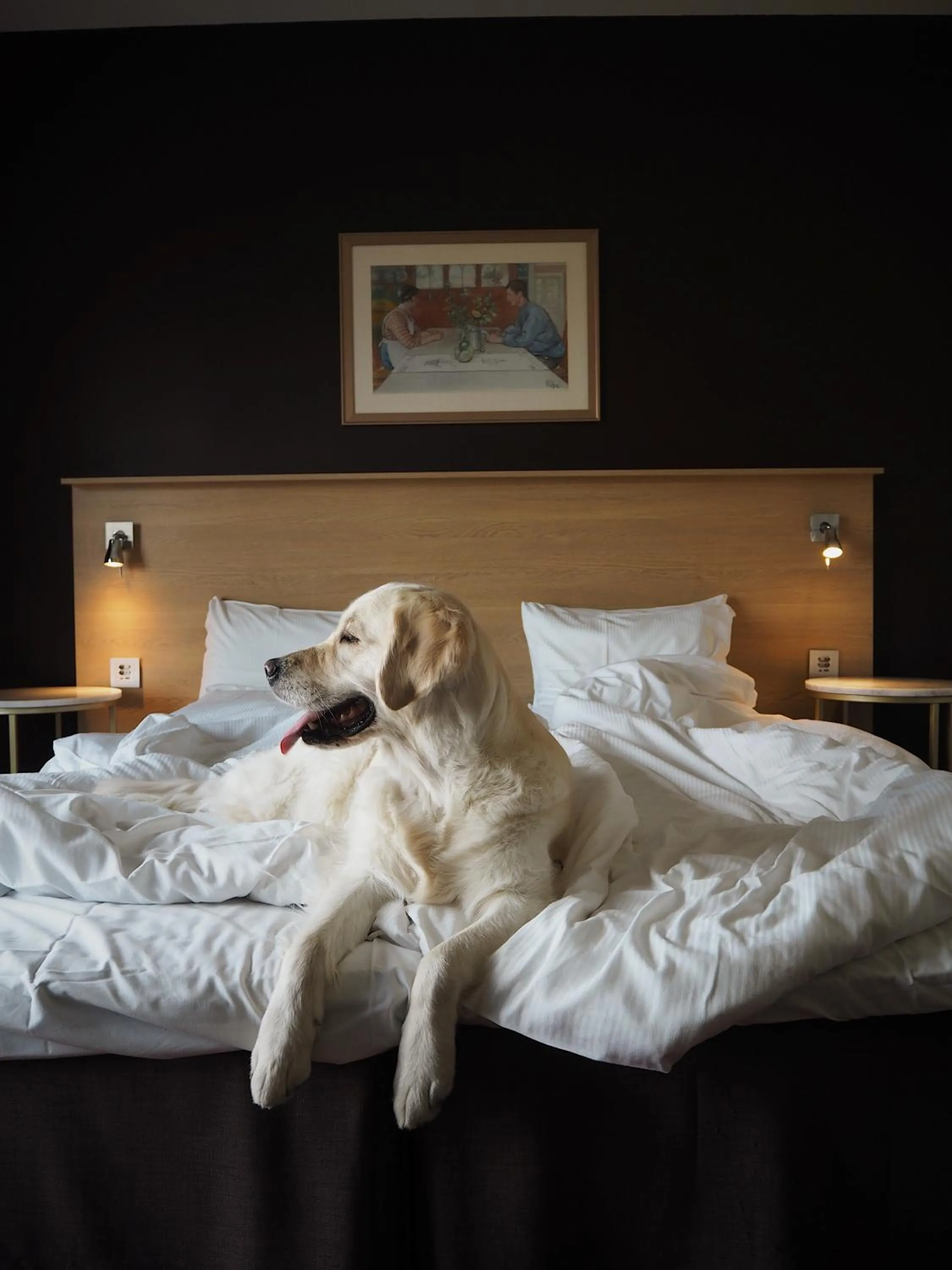 Bed in Skara Konsthotell