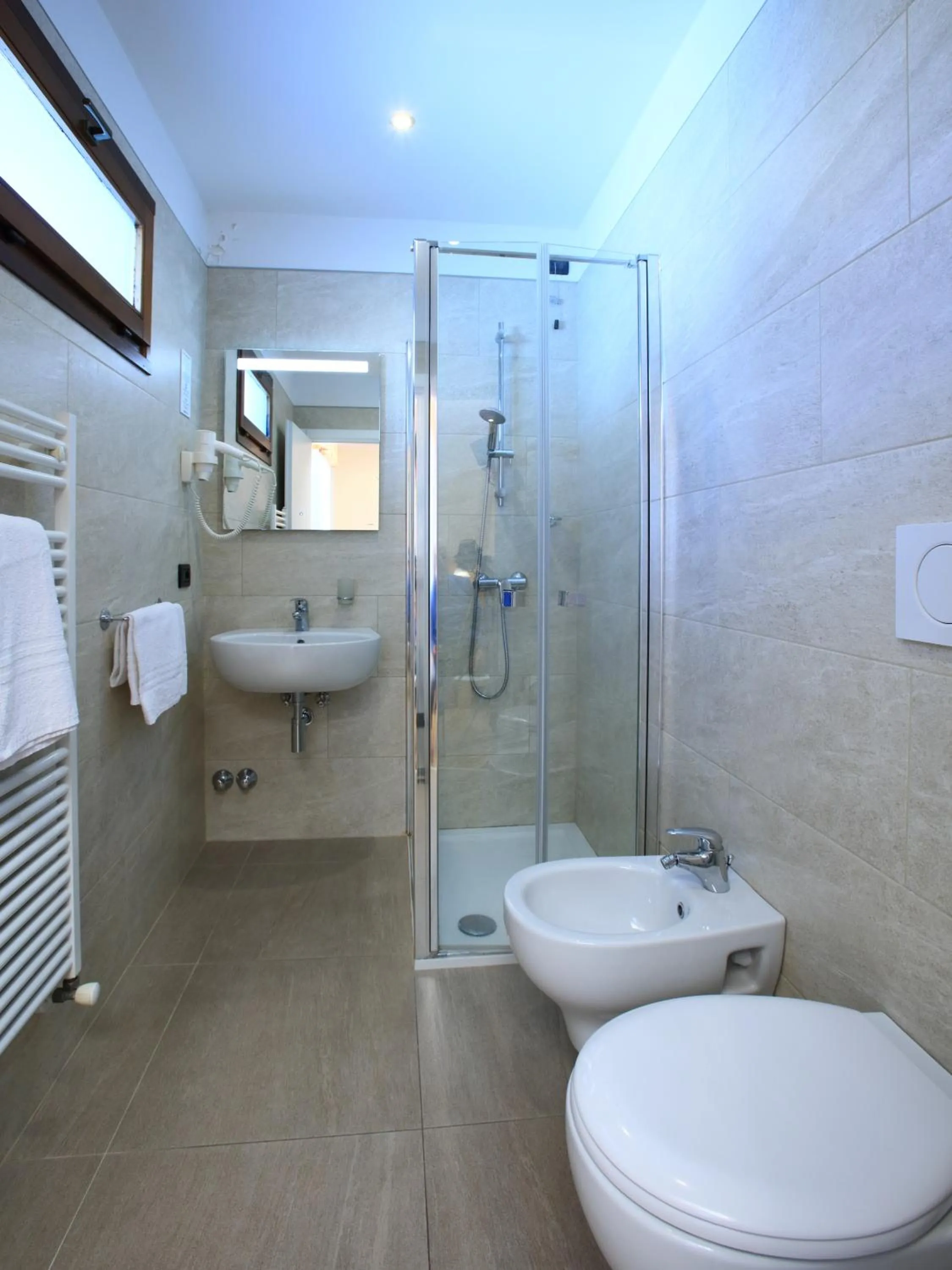 Toilet in Hotel Stella Alpina