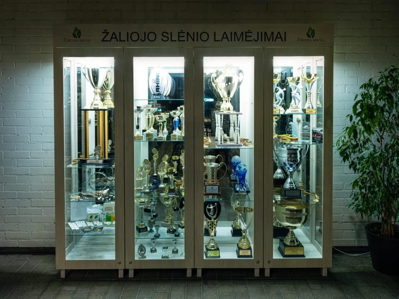 Lobby or reception in Zaliasis slenis - Self check-in hotel - Free parking