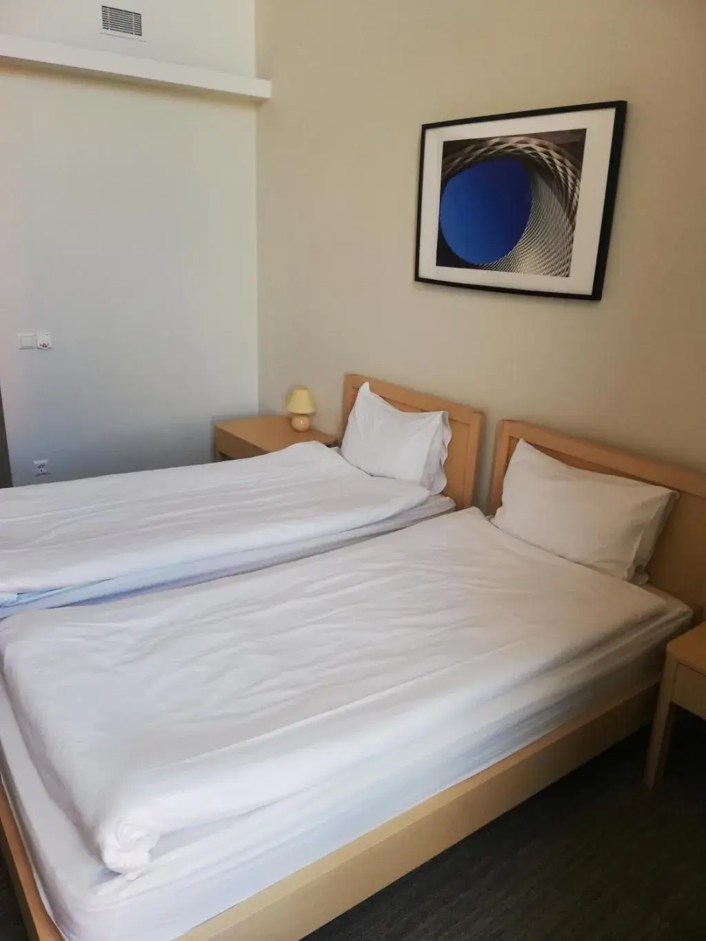Twin Room - single occupancy in Zaliasis slenis - Self check-in hotel - Free parking Twin Room - single occupancy in Zaliasis slenis - Self check-in hotel - Free parking