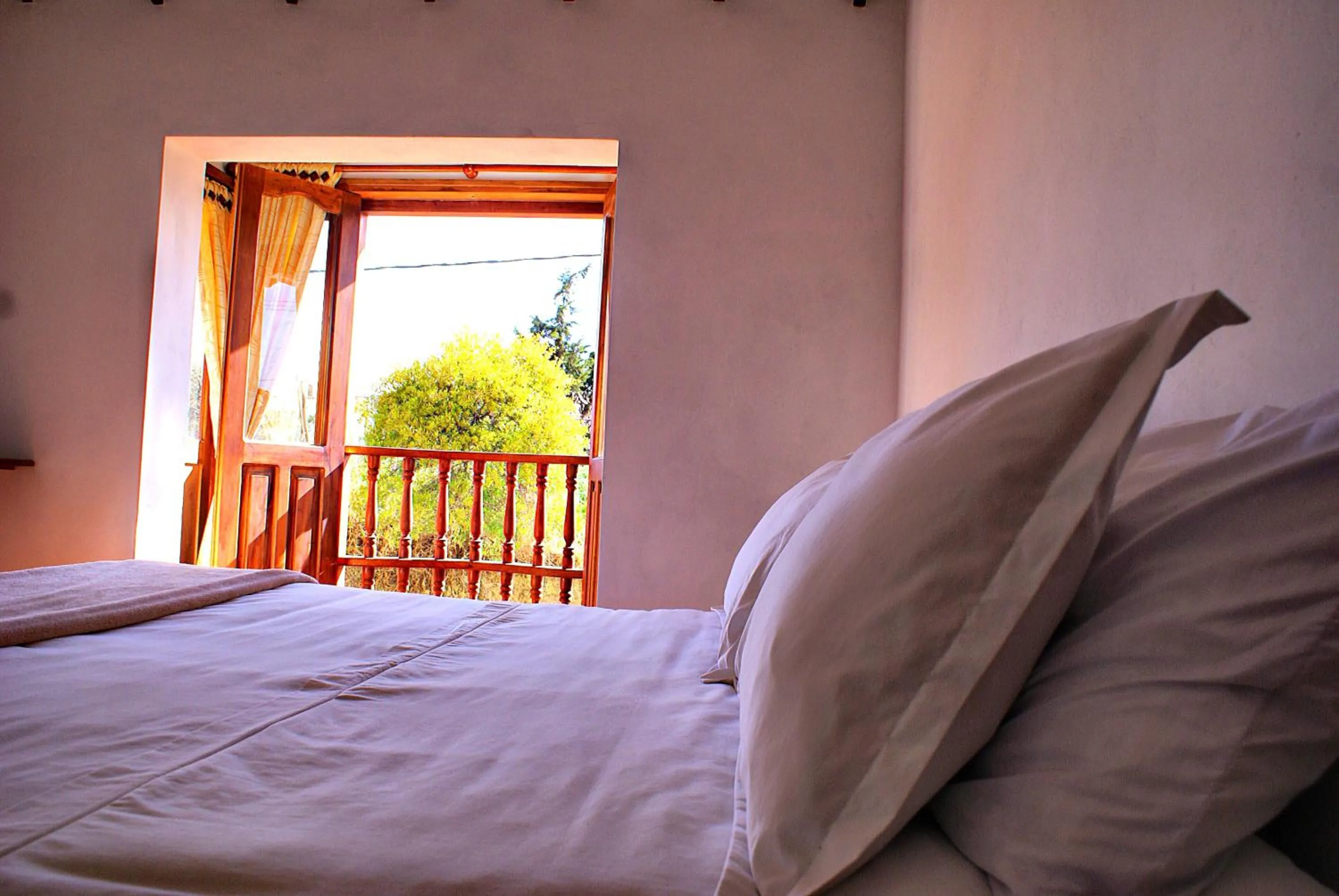 Photo of the whole room, Bed in Hotel Villa Palmas