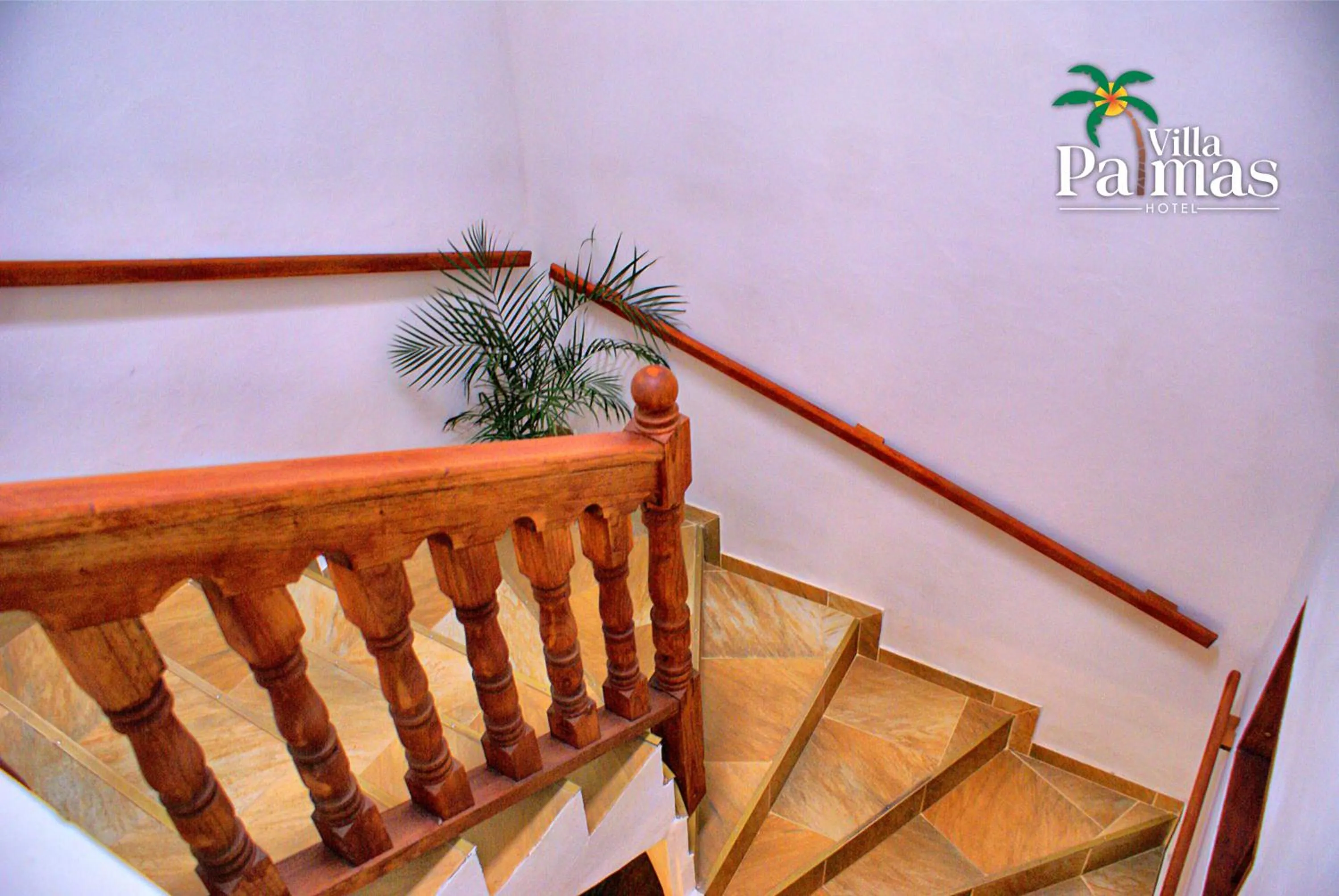 Hotel Villa Palmas