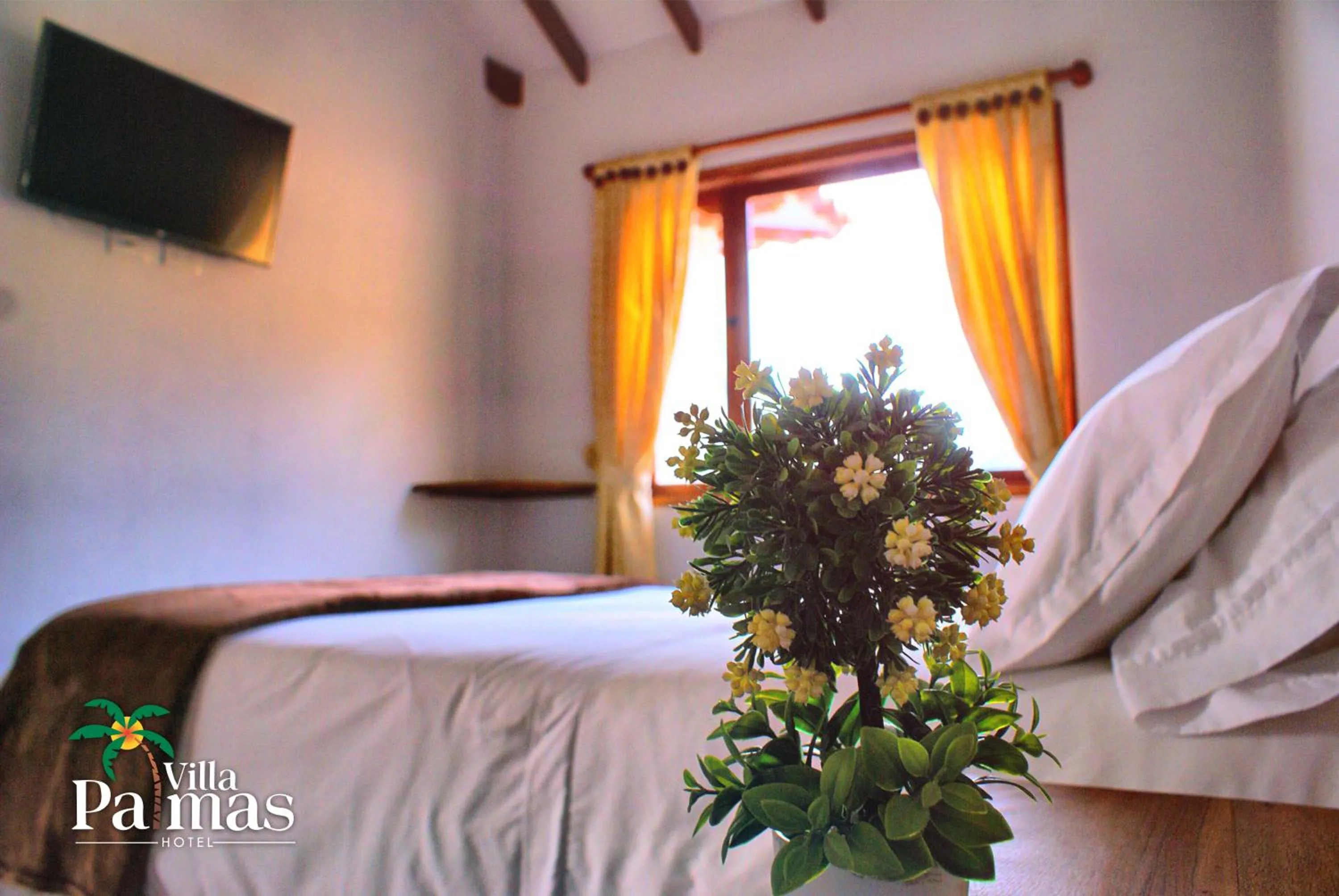 Photo of the whole room, Bed in Hotel Villa Palmas