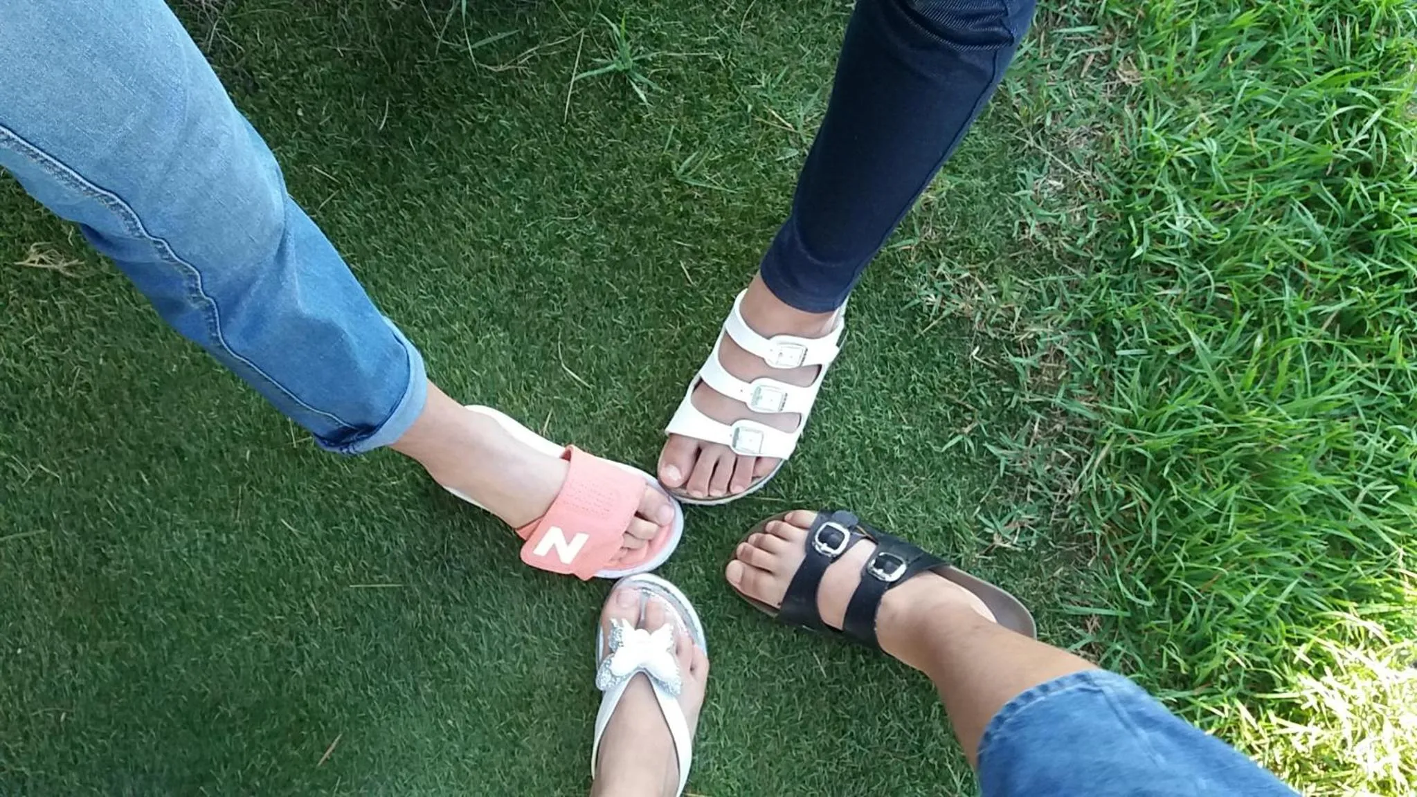 Garden in Forest of Color Pension