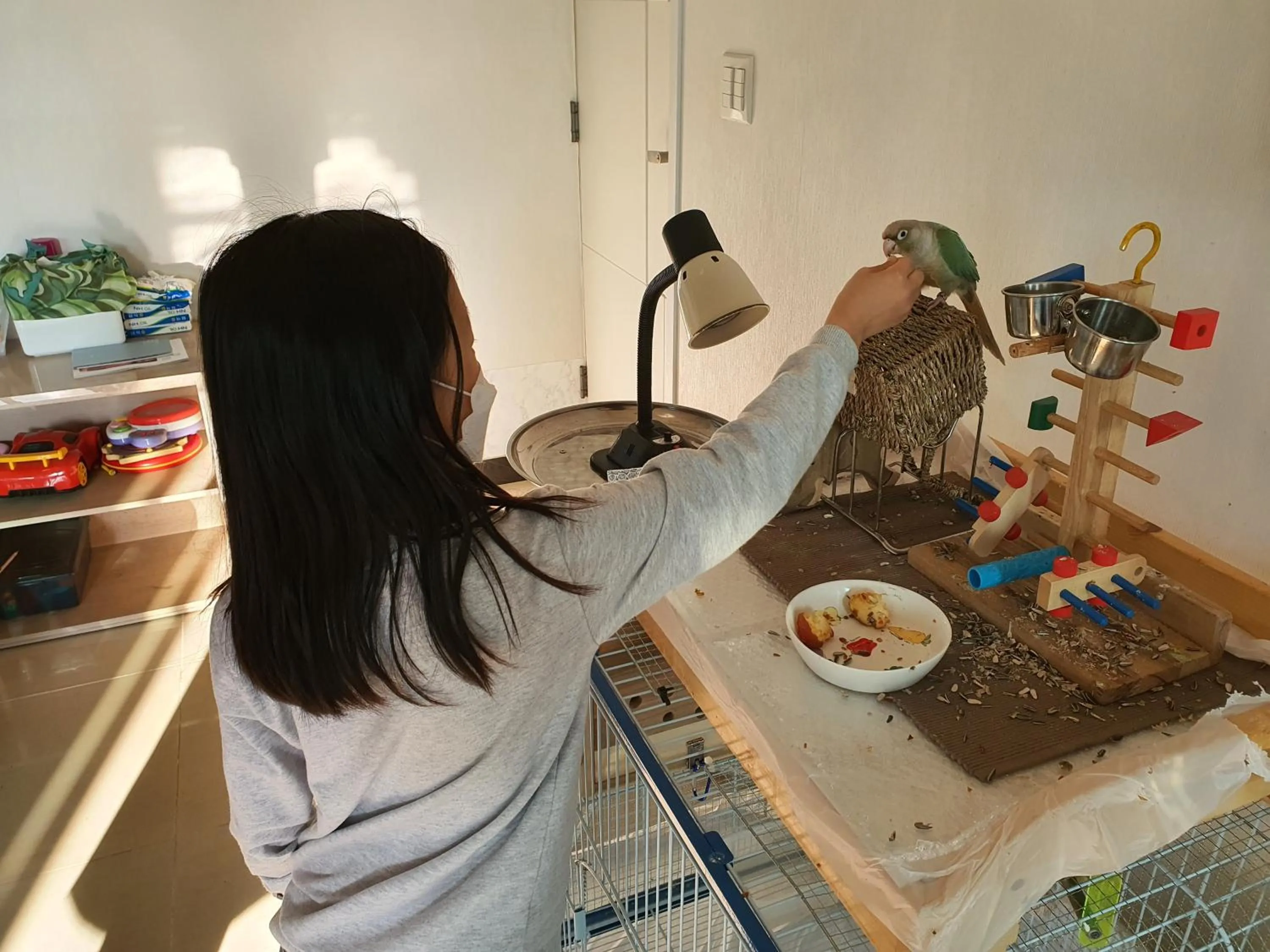 Property building in Forest of Color Pension