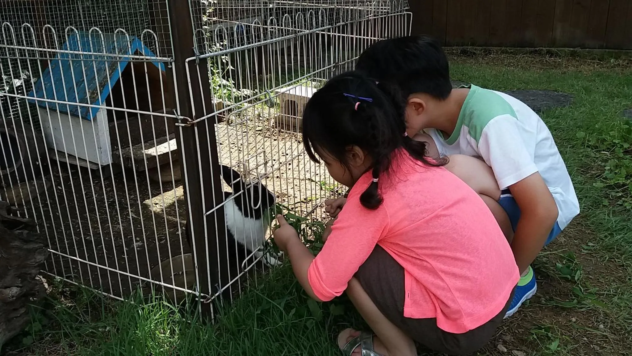 Garden in Forest of Color Pension