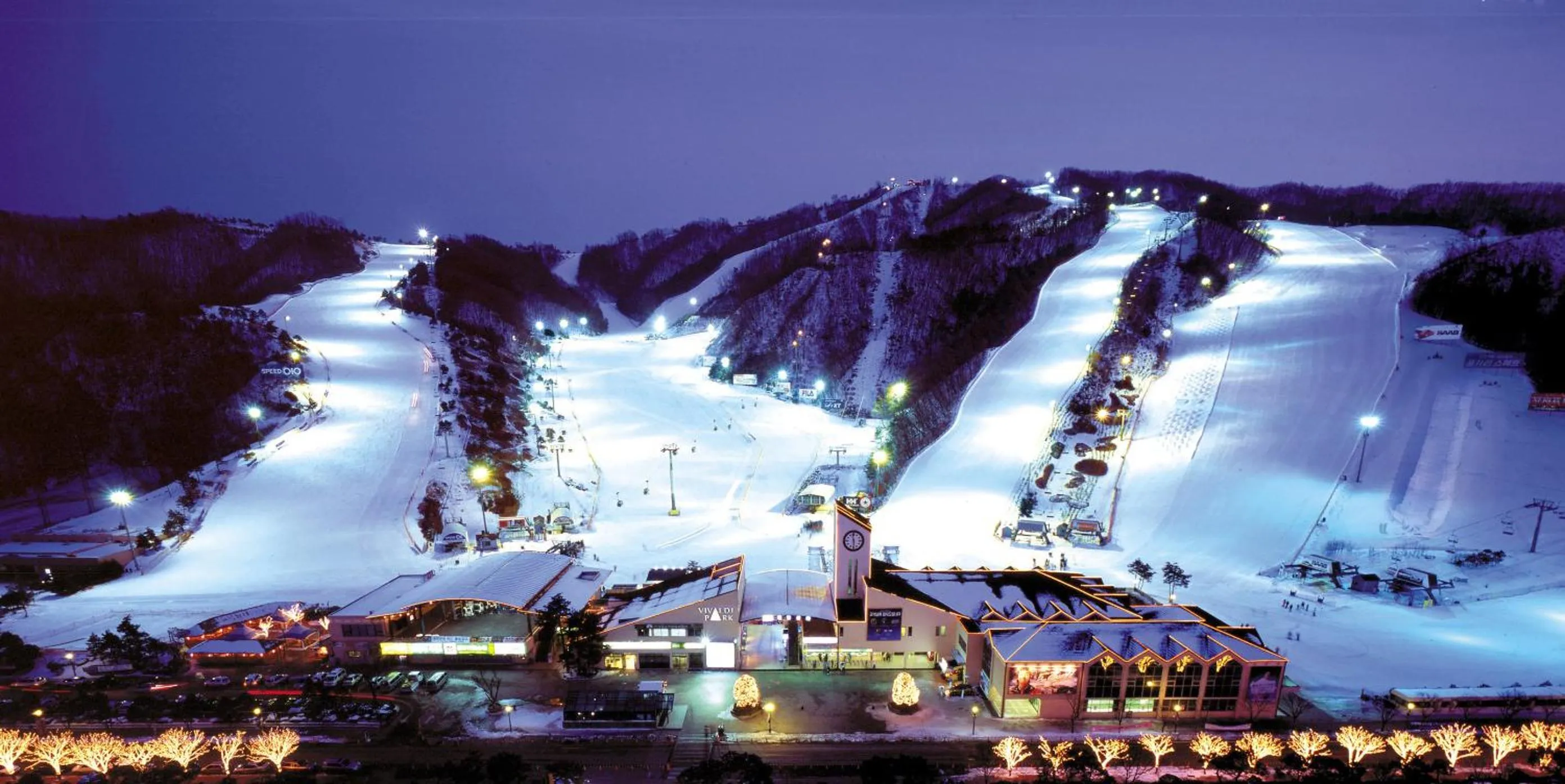 Skiing in Forest of Color Pension