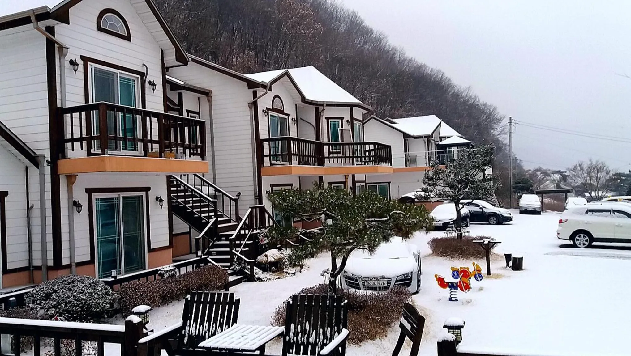 Winter in Forest of Color Pension